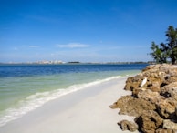 a view of a beach and the ocean from the shore