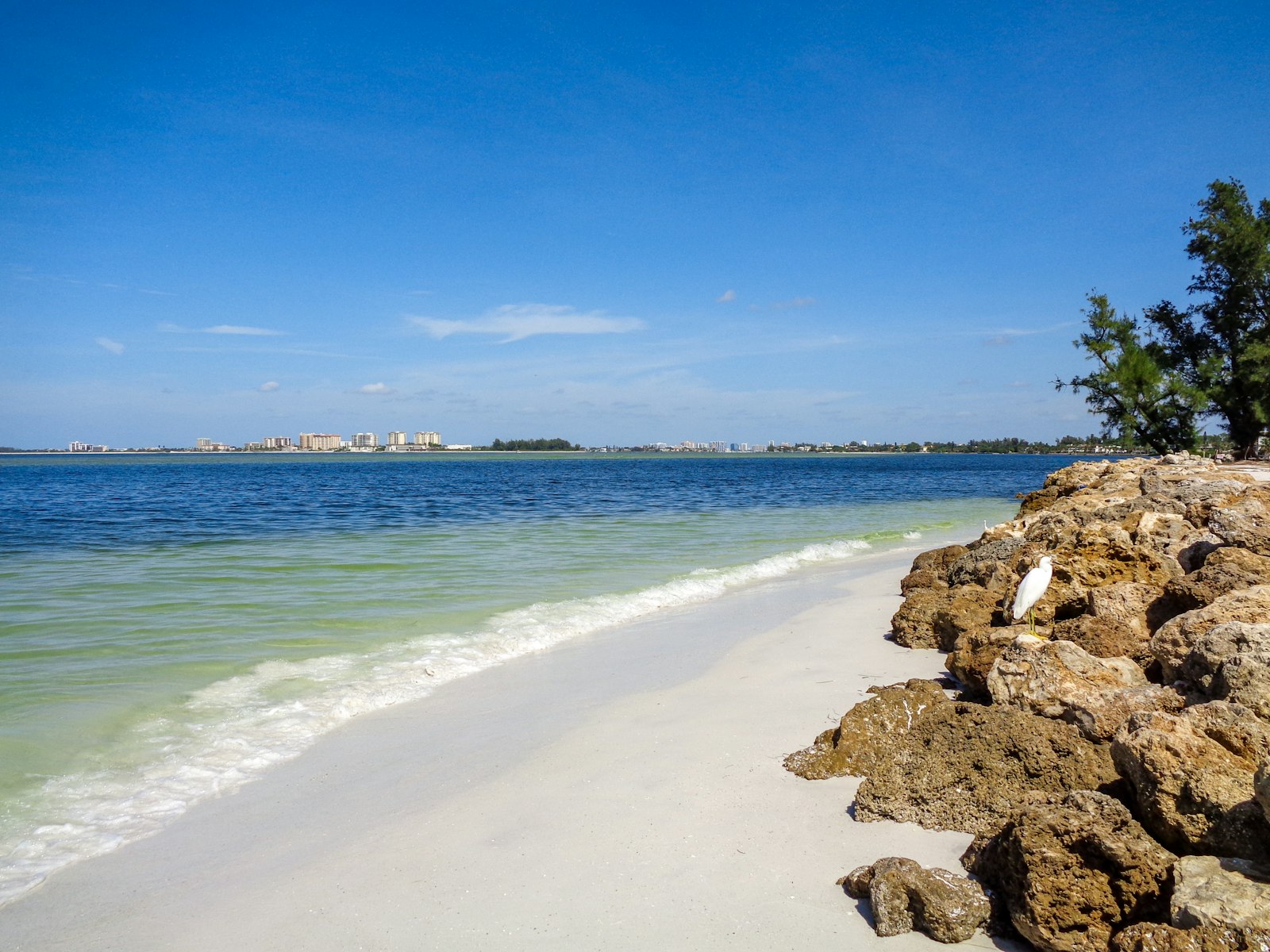 A view of a beach and the ocean from the shore.