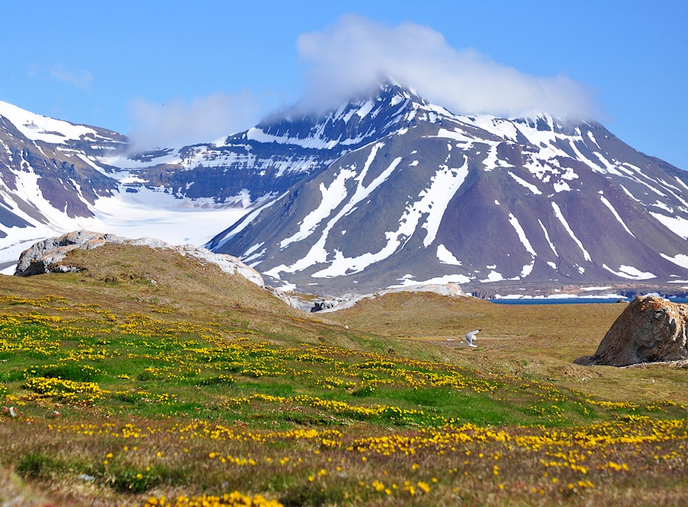 a mountain covered in snow and snow covered mountains