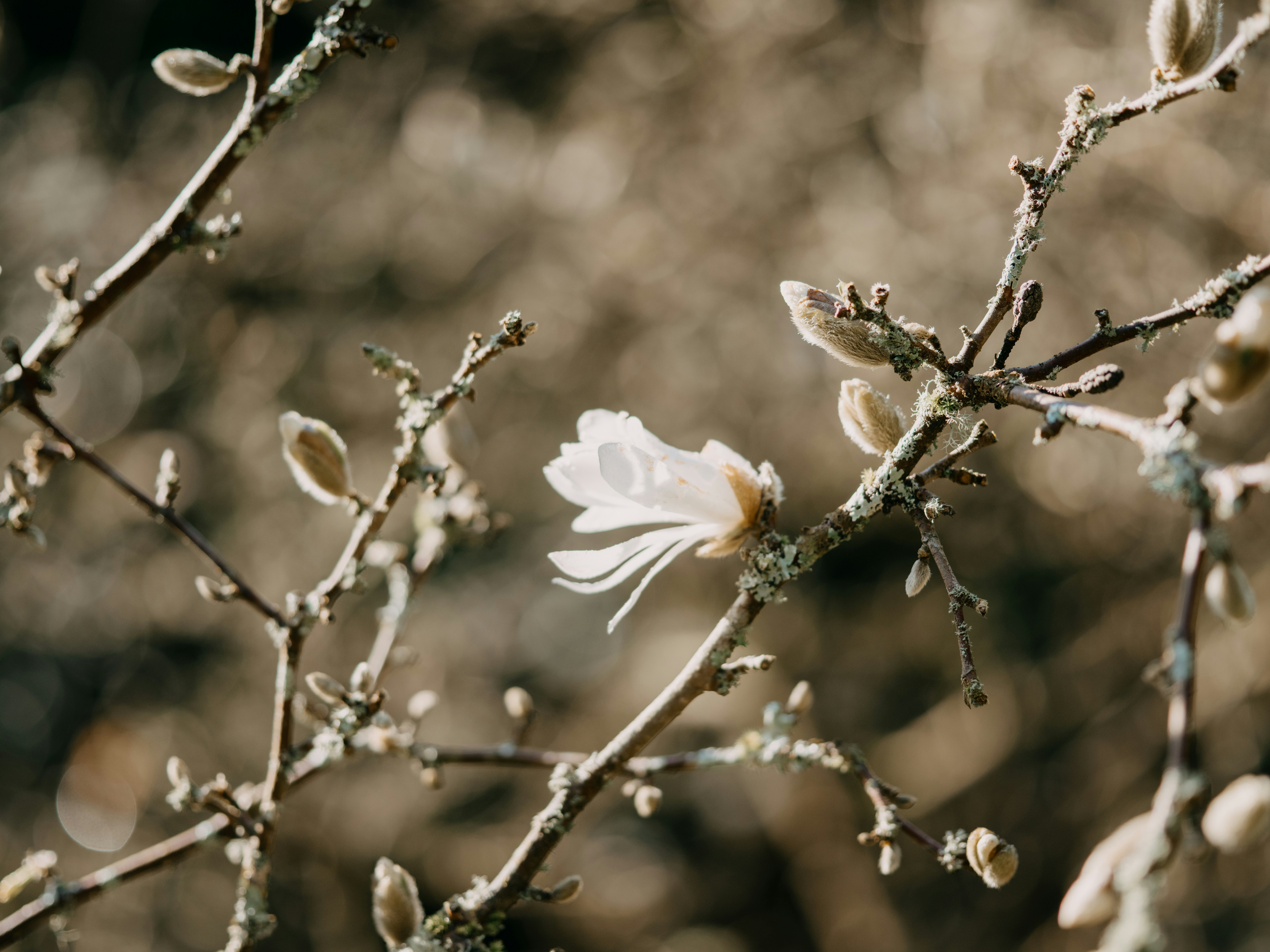 Photo by anniespratt