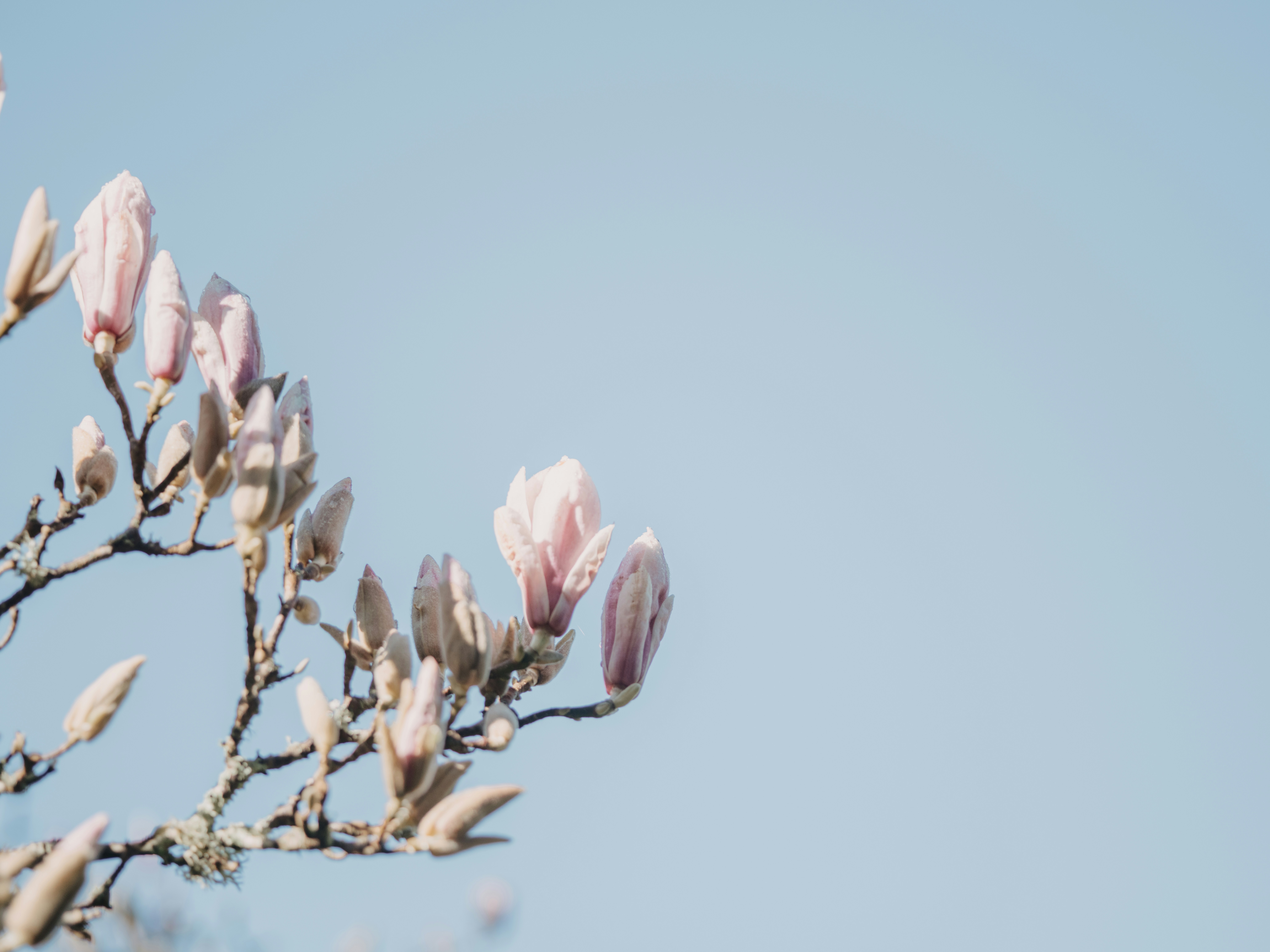 Photo by anniespratt