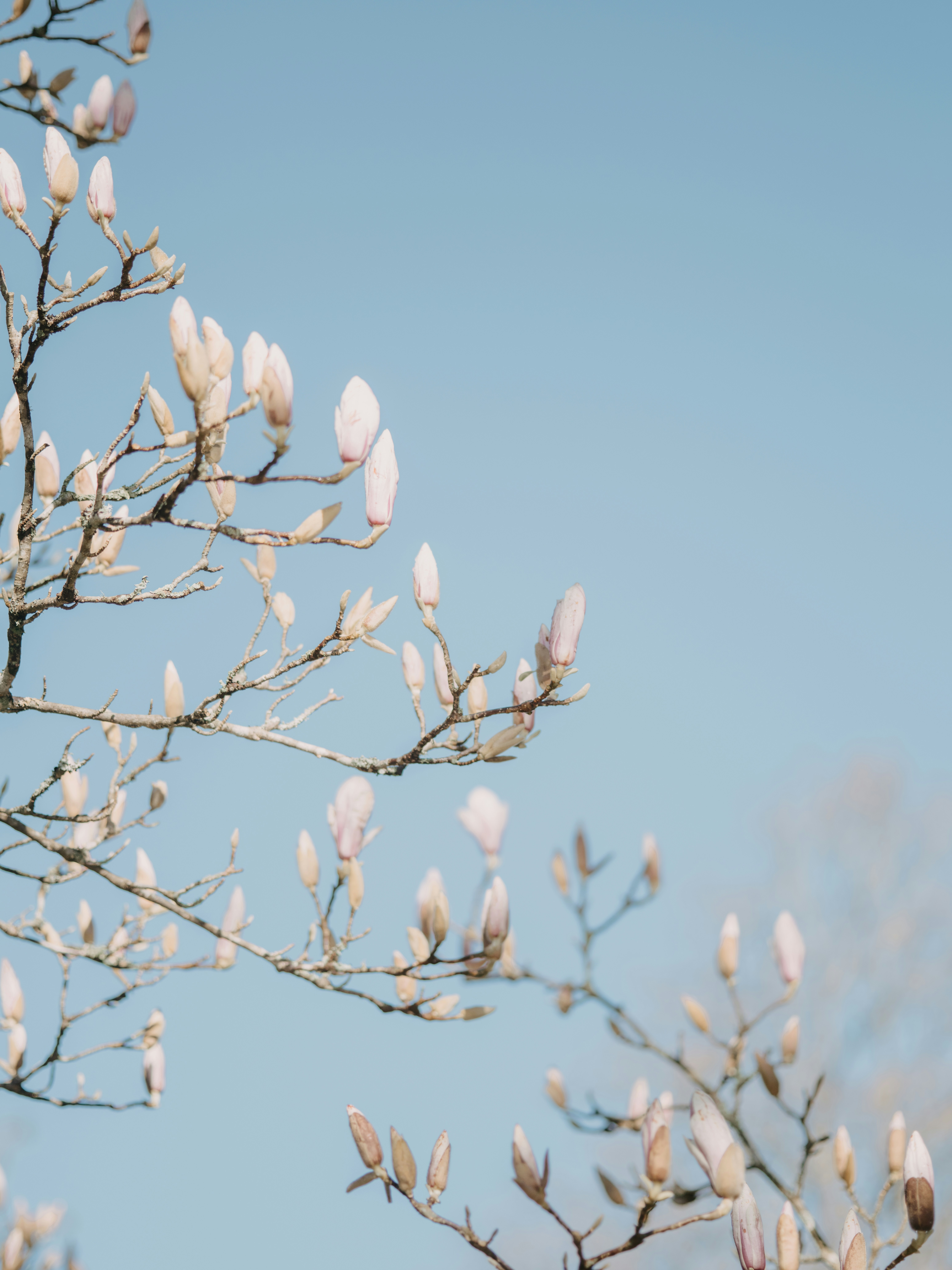 Photo by anniespratt