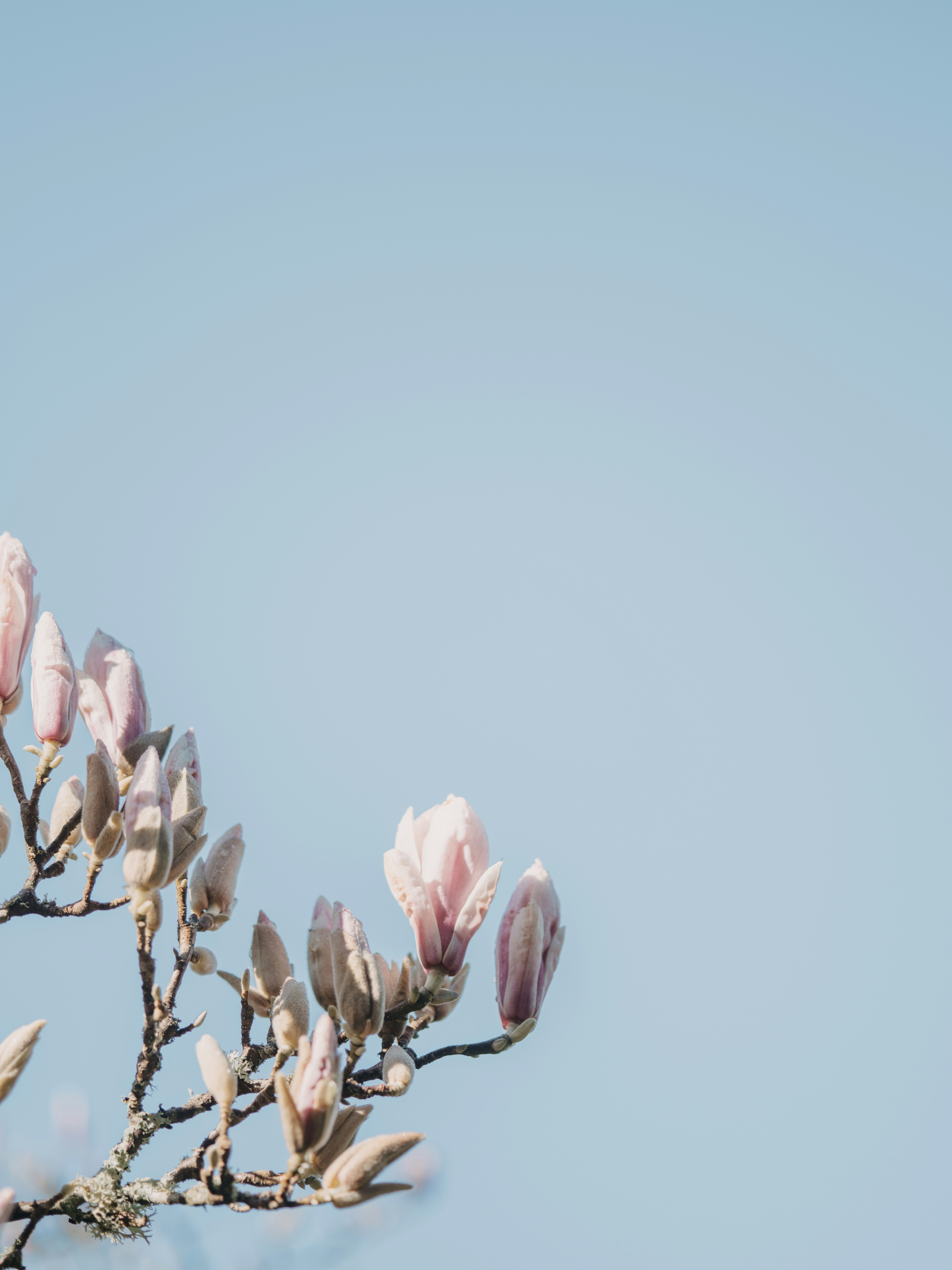 Photo by anniespratt