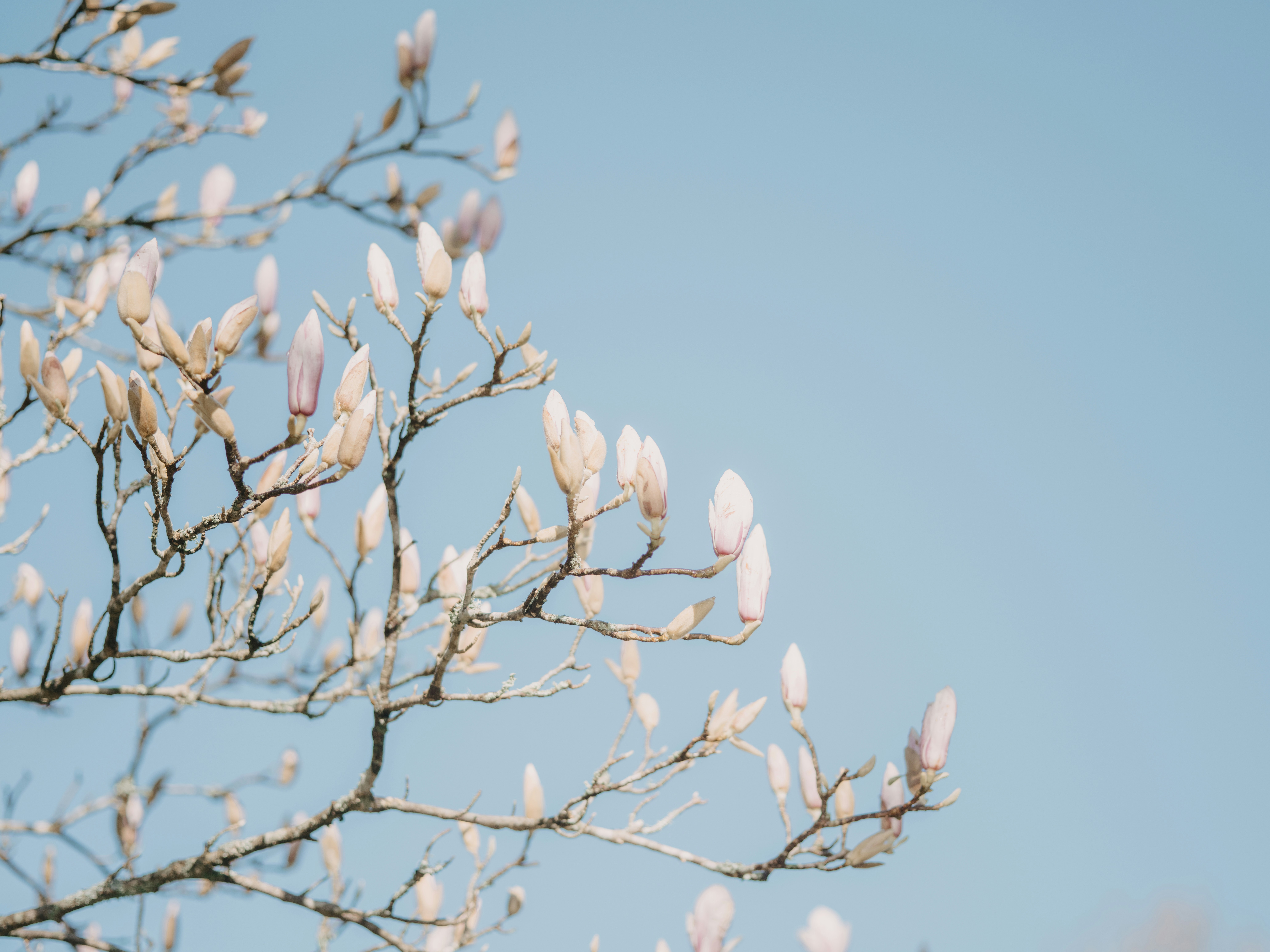 Photo by anniespratt