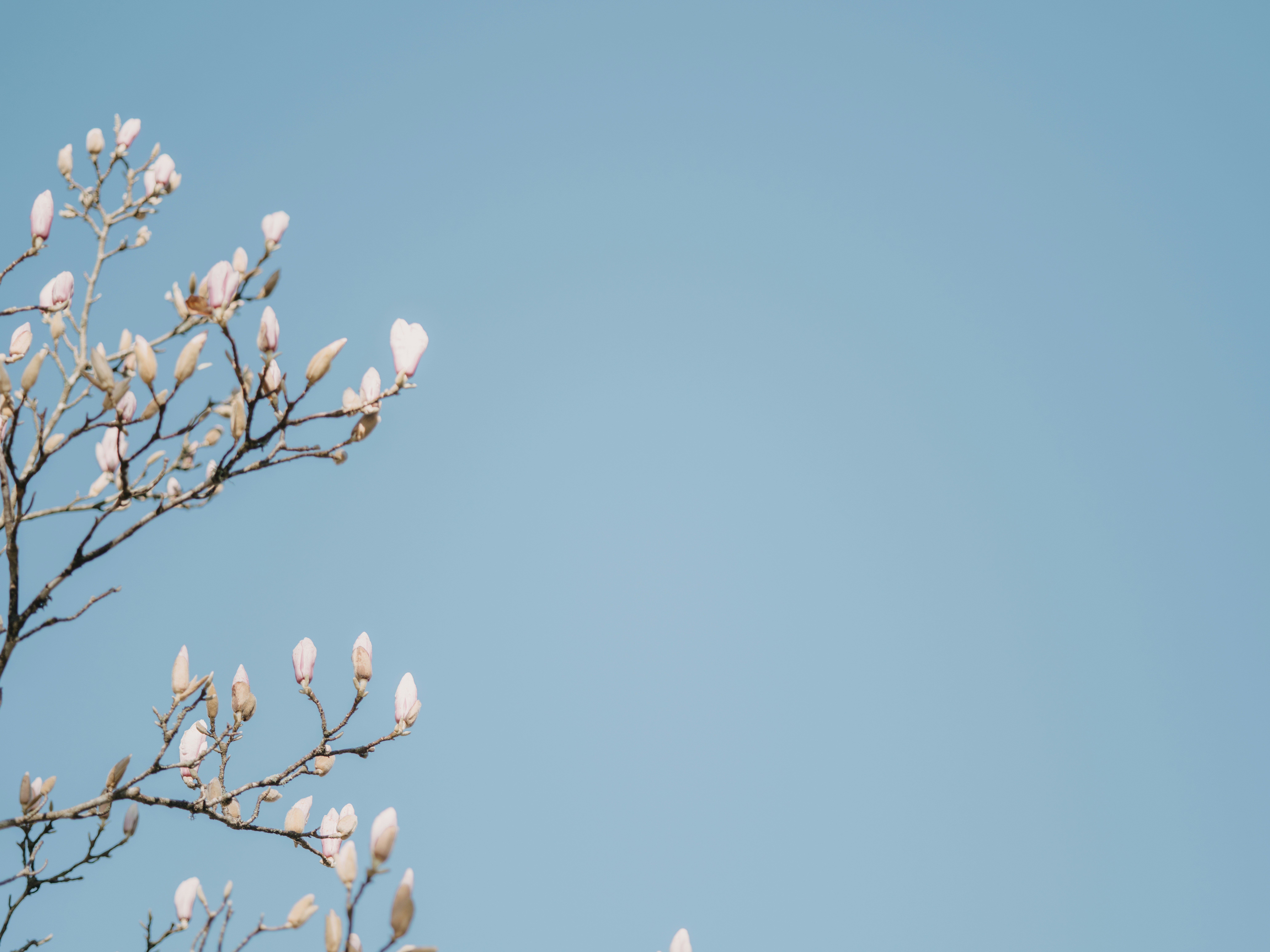 Photo by anniespratt