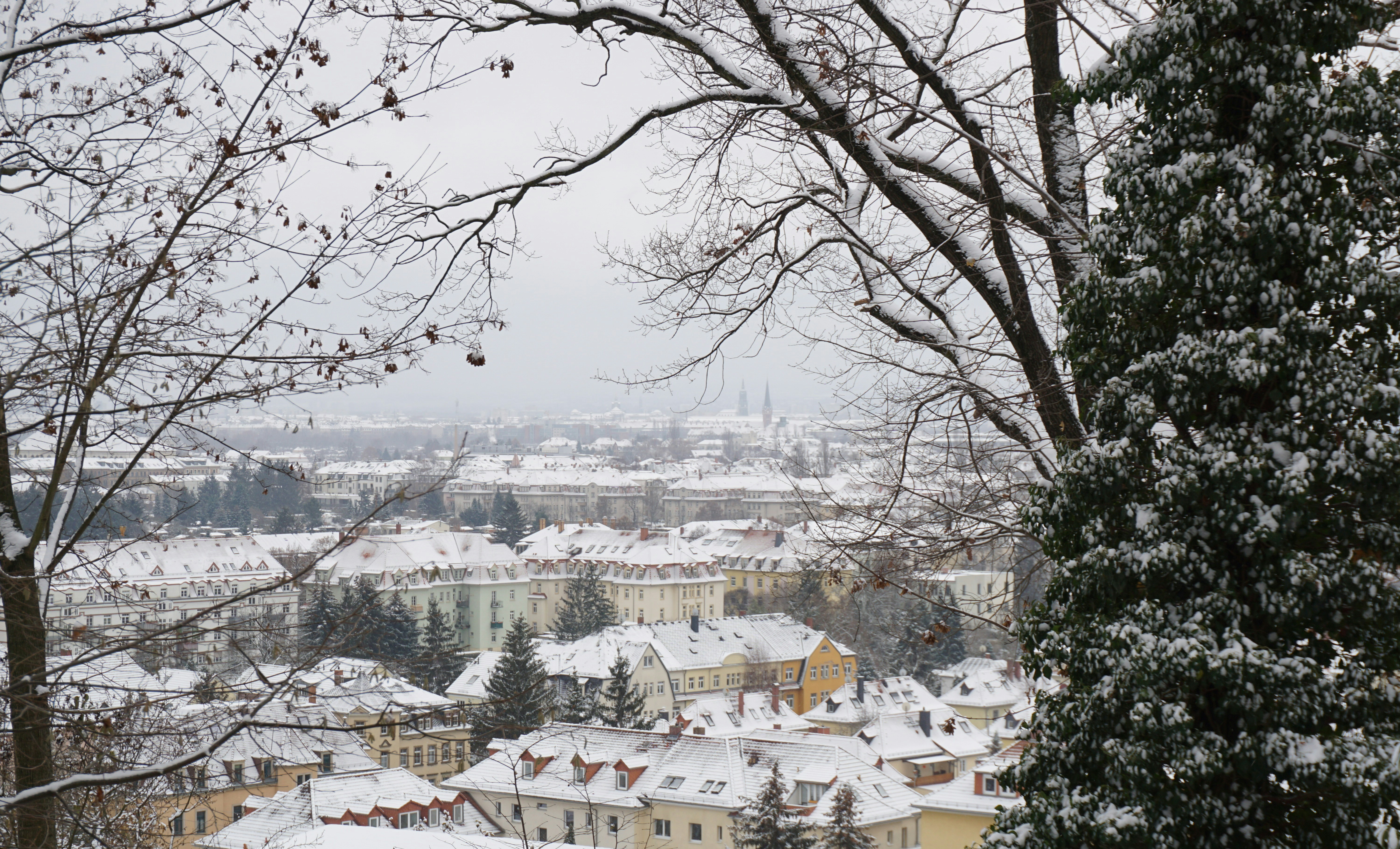 Photo by andreas_haubold