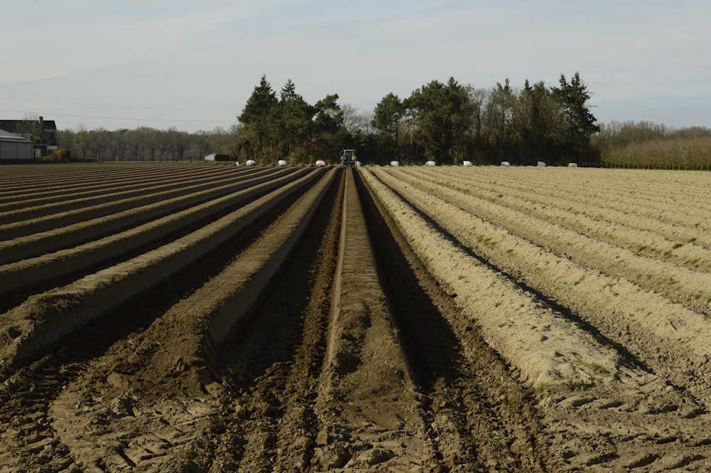 a plowed field with trees in the background