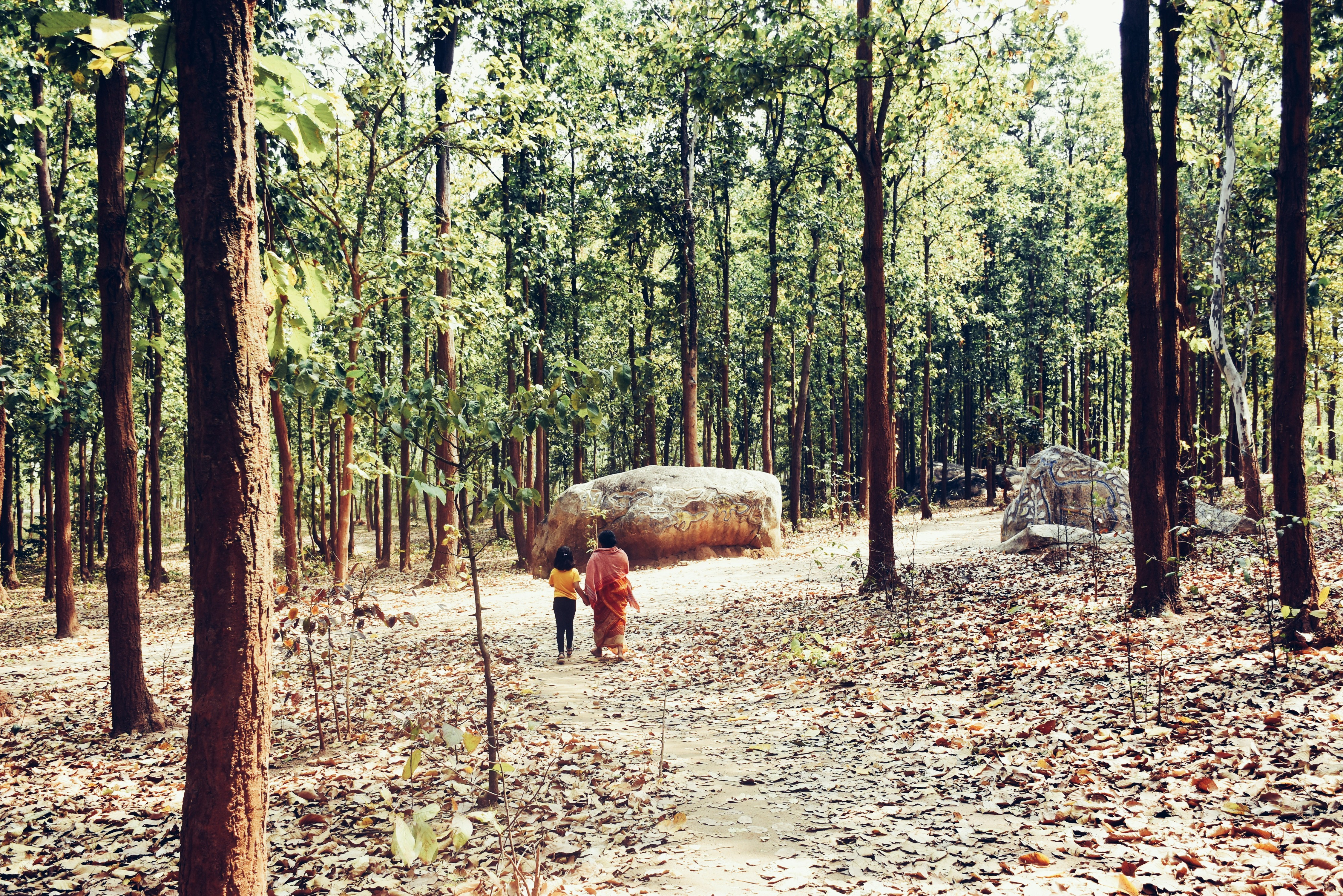 Building a Network of Proper Resources (image credits: unsplash)