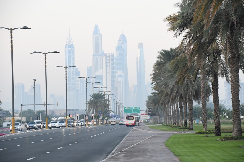 a city street with palm trees and a bus