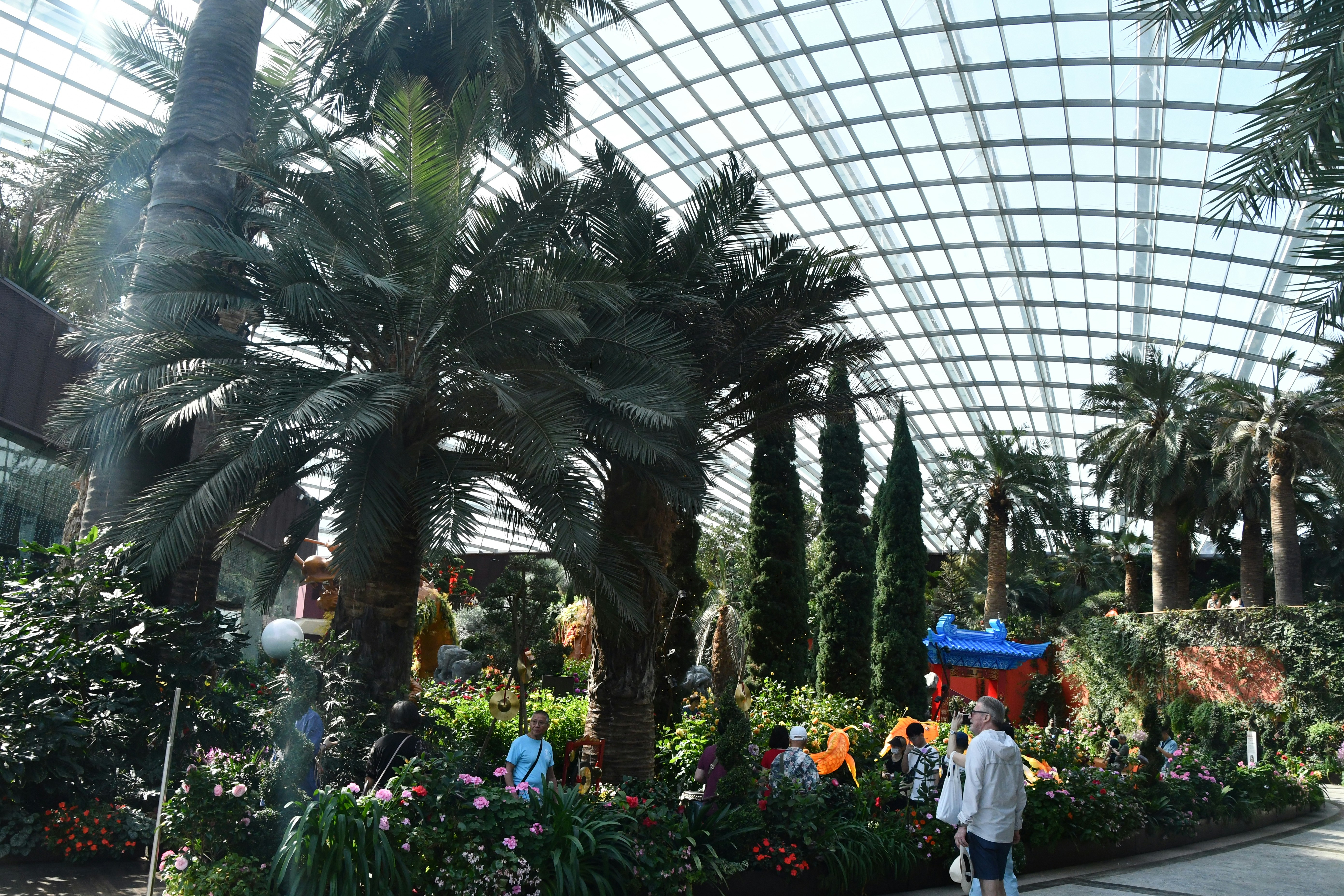 Um homem está andando por um jardim com palmeiras