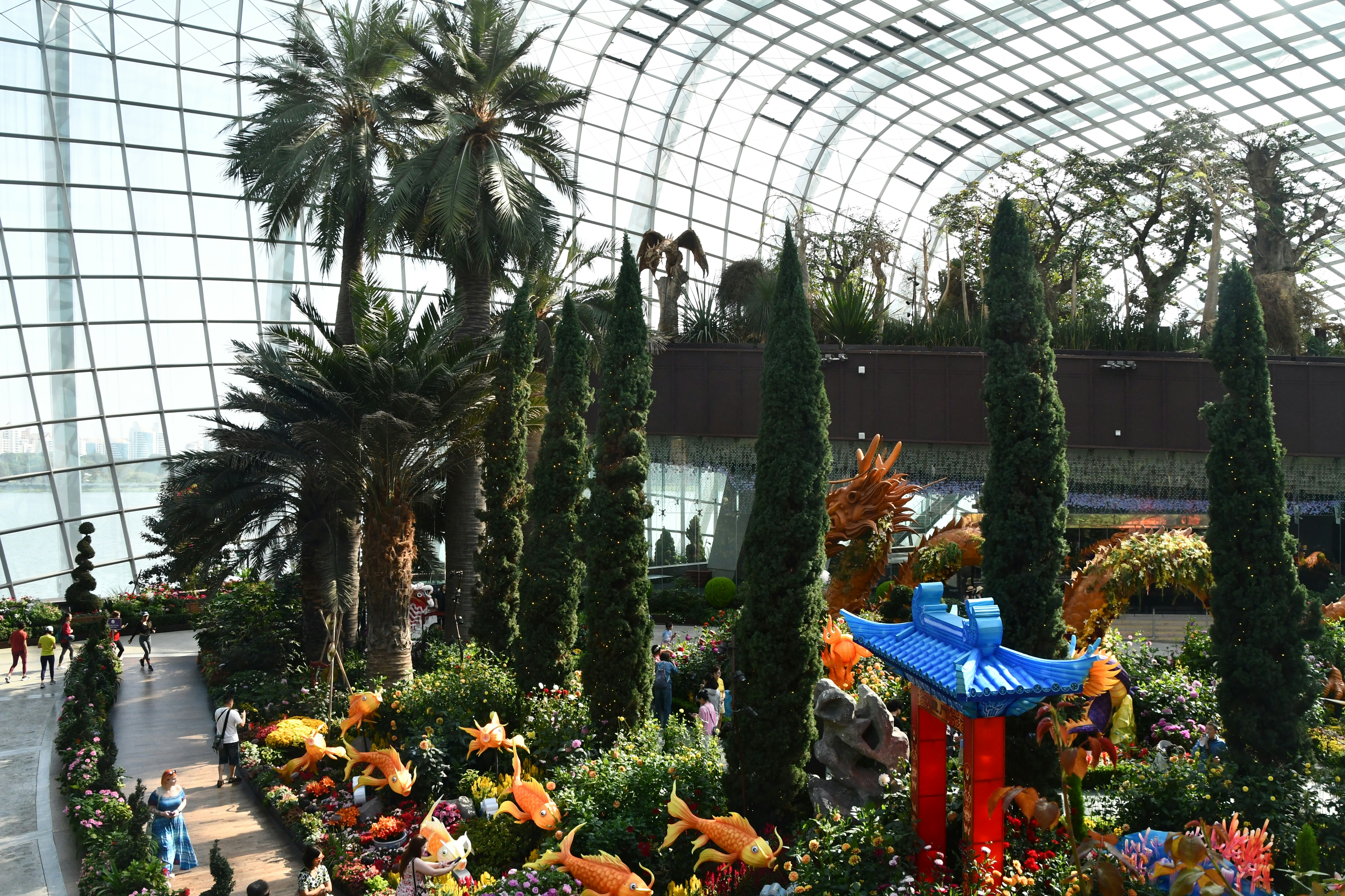 vista para um jardim com muitas plantas e árvores