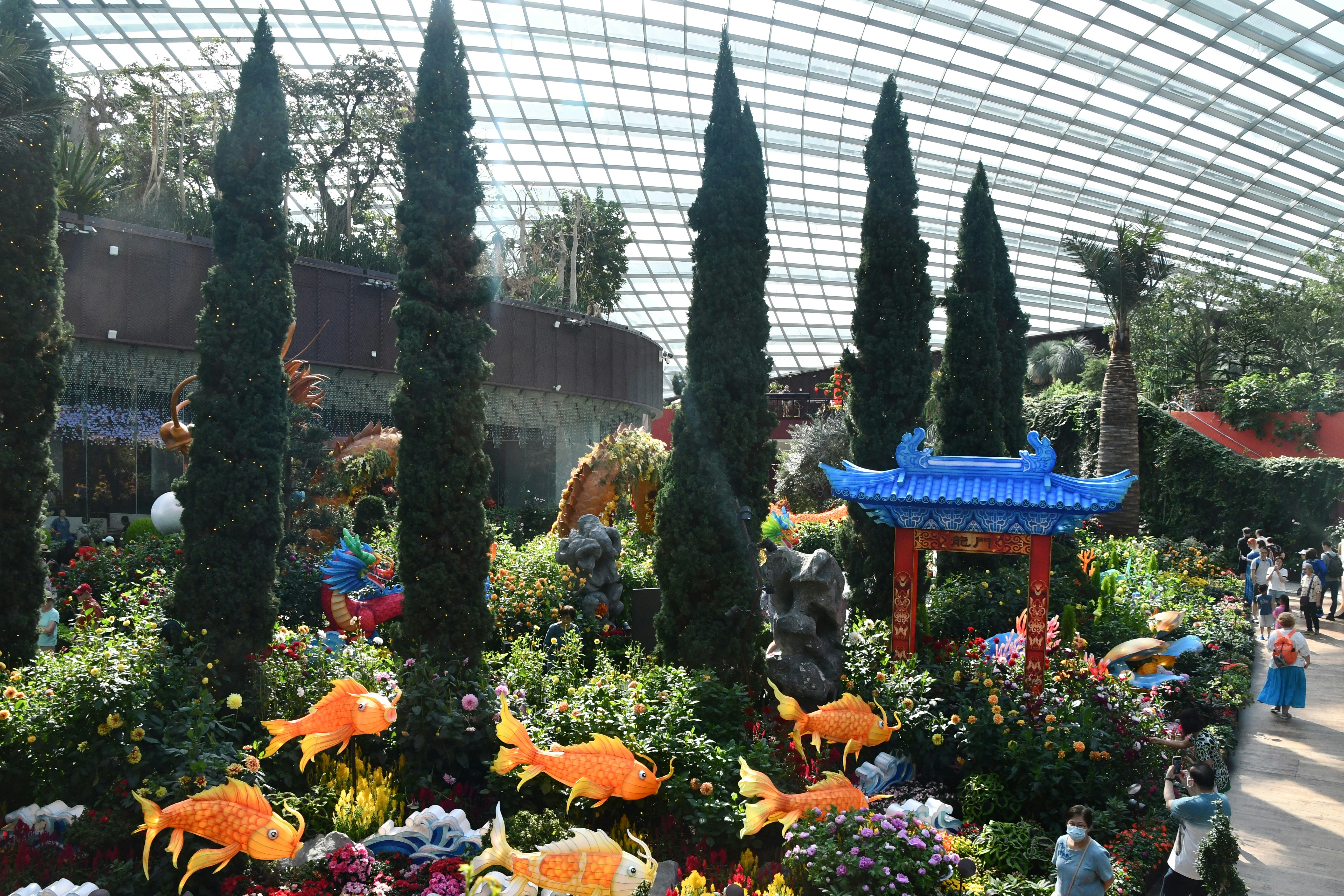 um jardim cheio de muitos tipos diferentes de flores