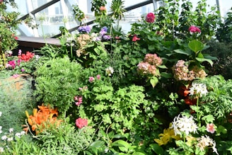 a garden filled with lots of different types of flowers