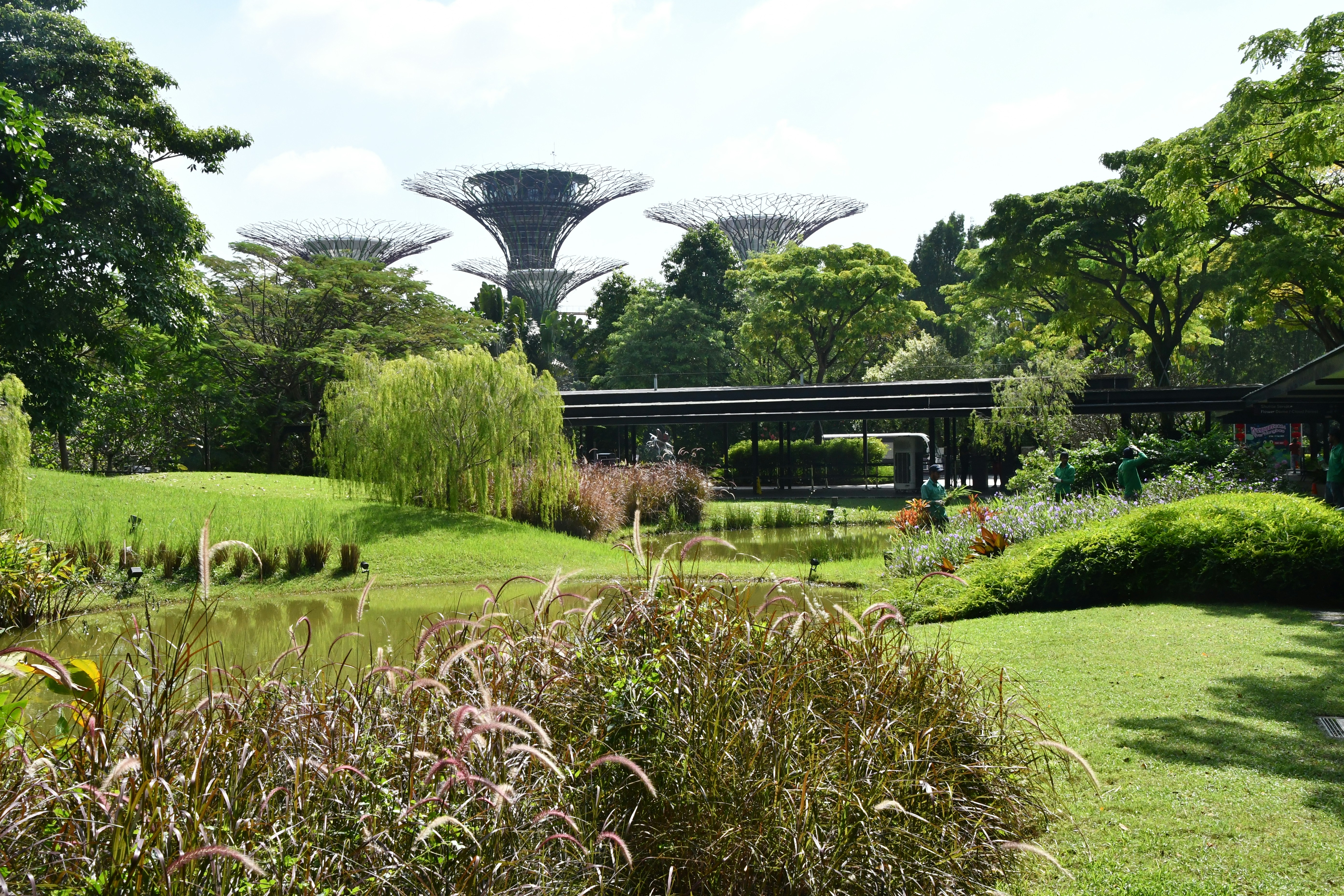 Quand partir à Singapour ? Climat, saisons et meilleurs moments
