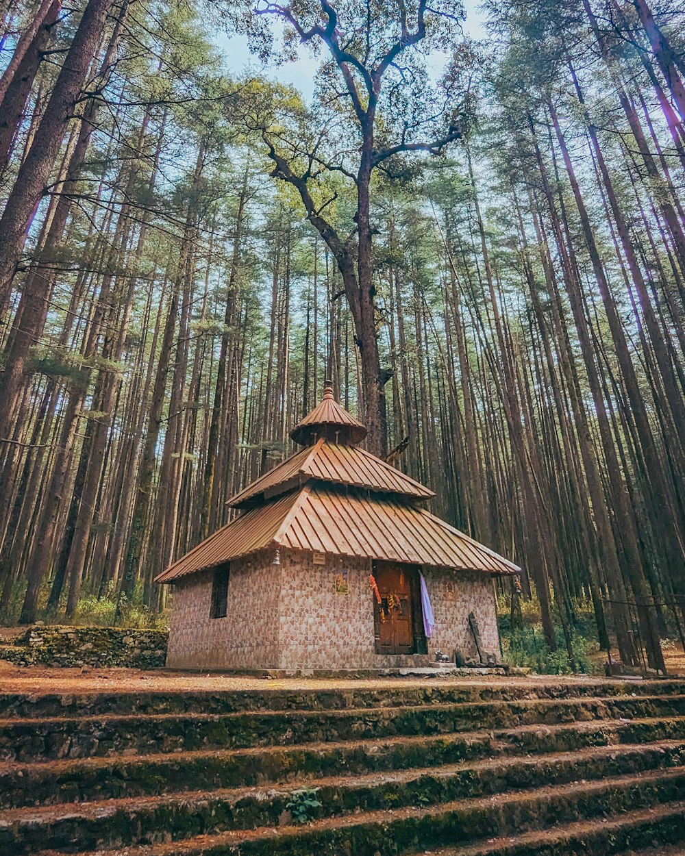 a small building sitting in the middle of a forest