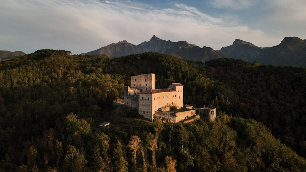 a castle on top of a mountain surrounded by trees