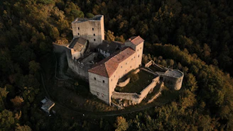 an aerial view of a castle surrounded by trees