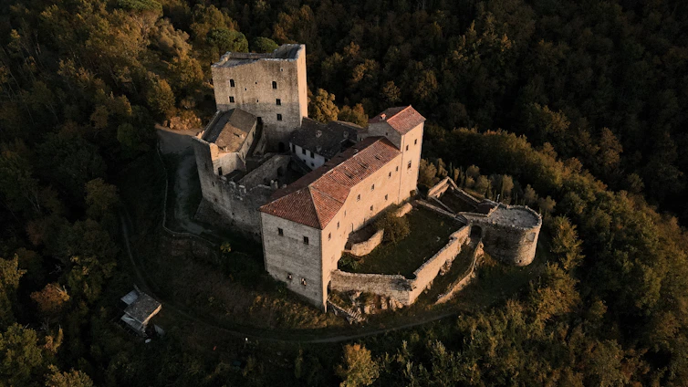 an aerial view of a castle surrounded by trees