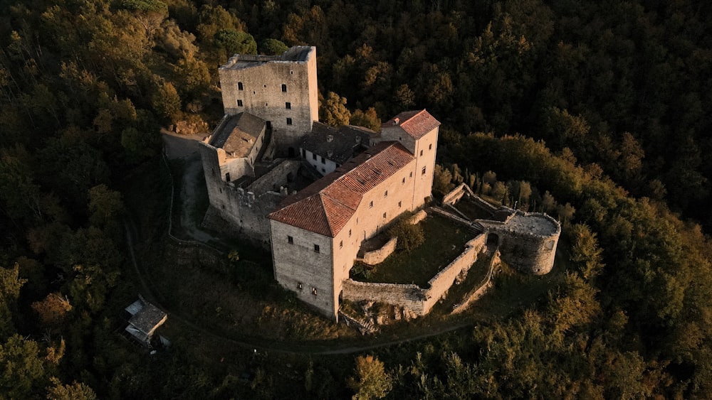 an aerial view of a castle surrounded by trees