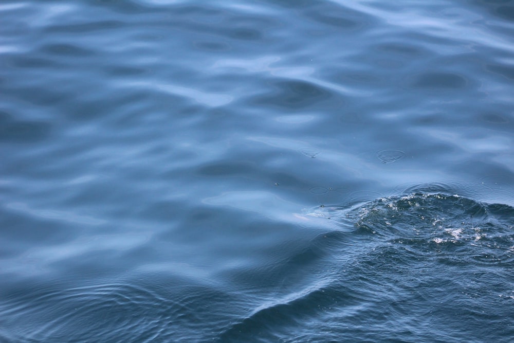 a close up of a body of water with waves