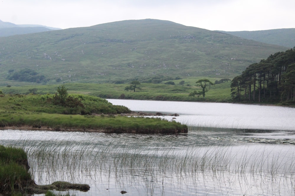 a large body of water surrounded by a lush green hillside