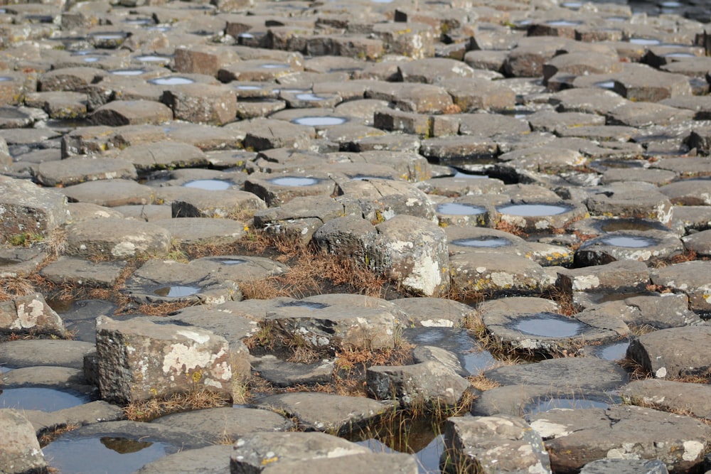 a bunch of rocks that are in the water