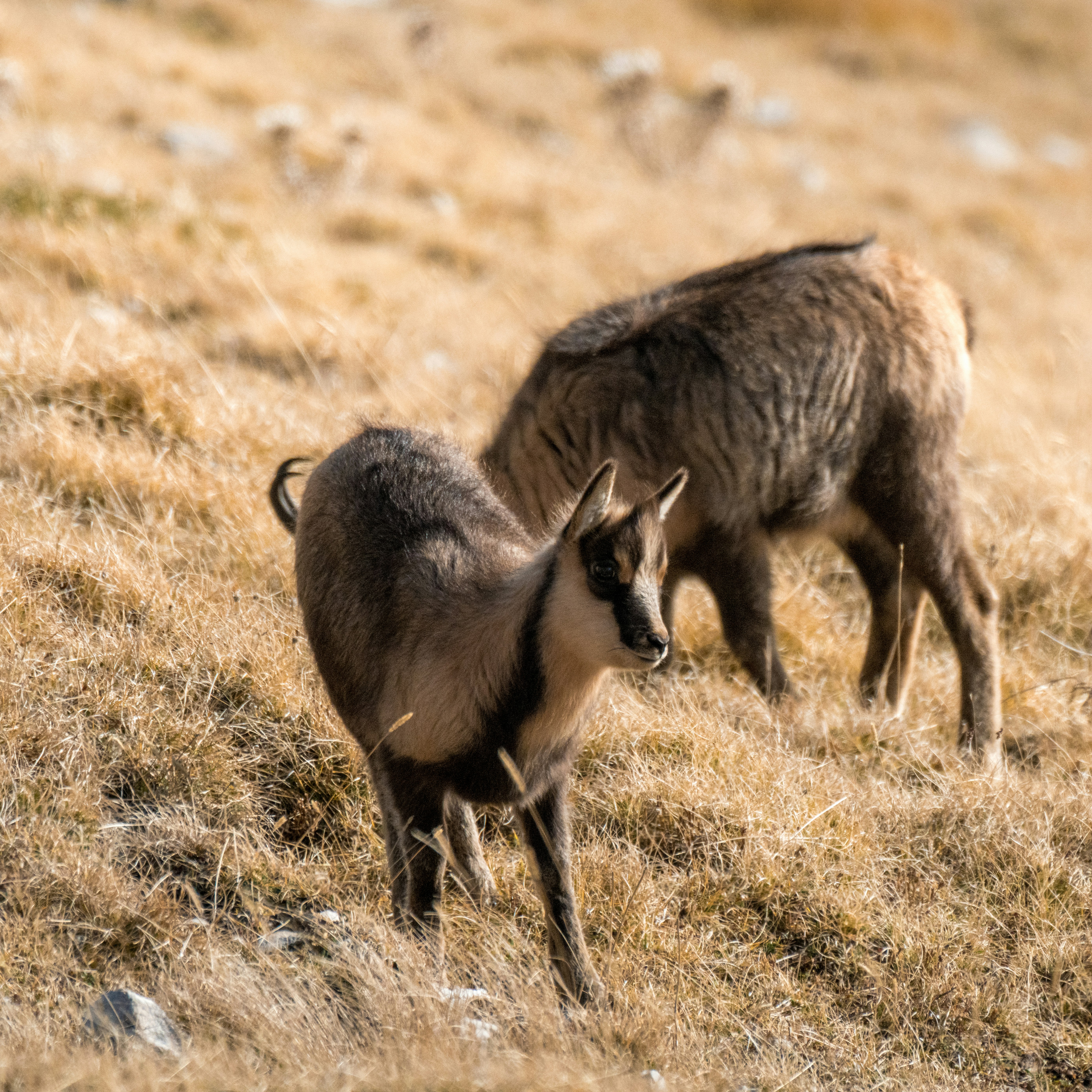 Photo by didiofederico_photographer