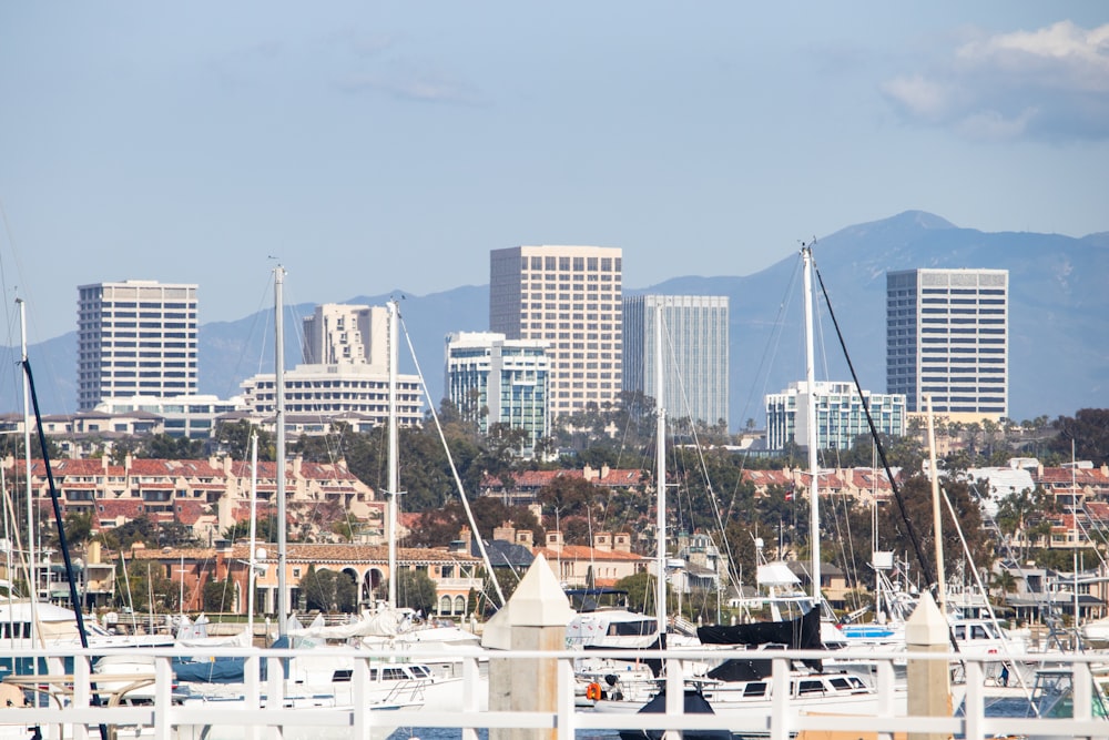 a marina with boats docked in front of a city