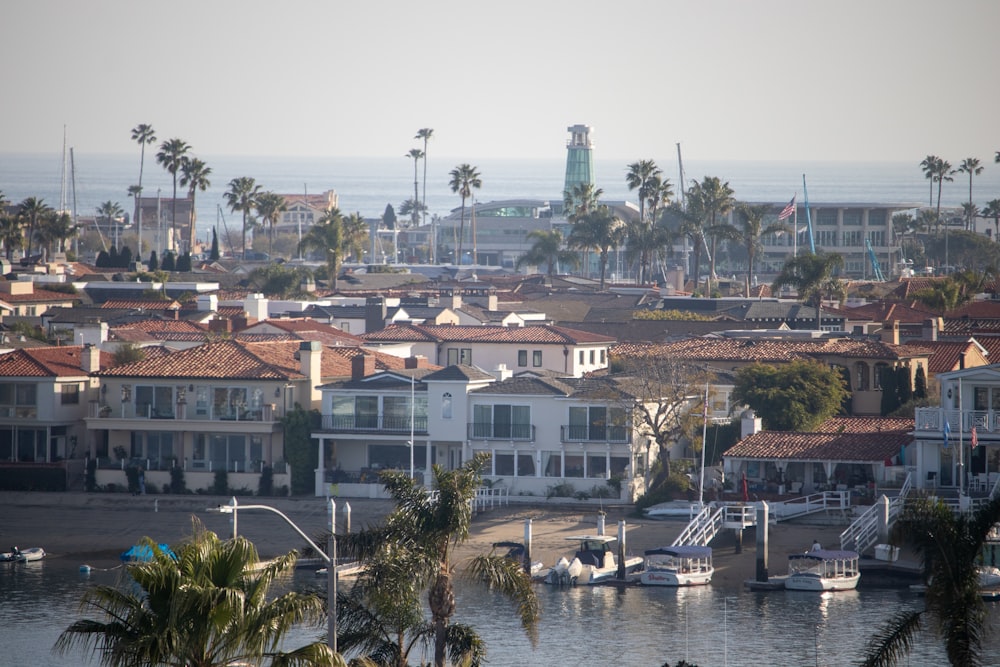 a view of a city with palm trees and a body of water