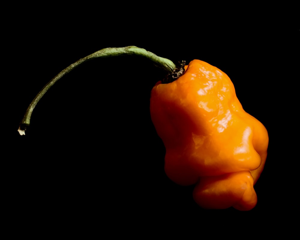 a close up of a pepper on a black background