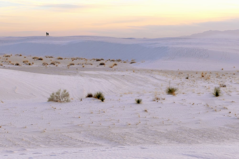 a person riding a horse in the middle of a desert