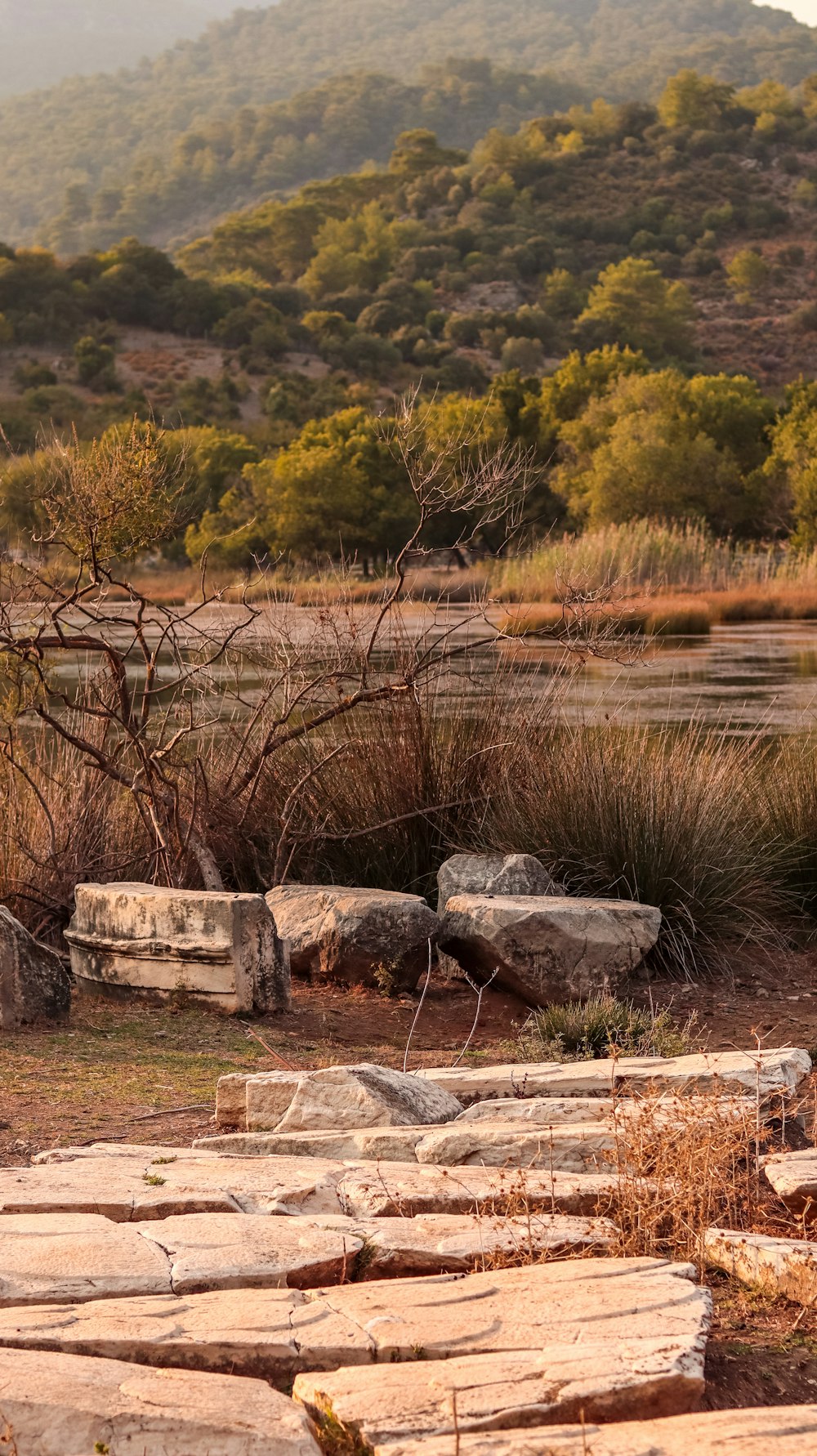 a stone bench sitting in the middle of a field