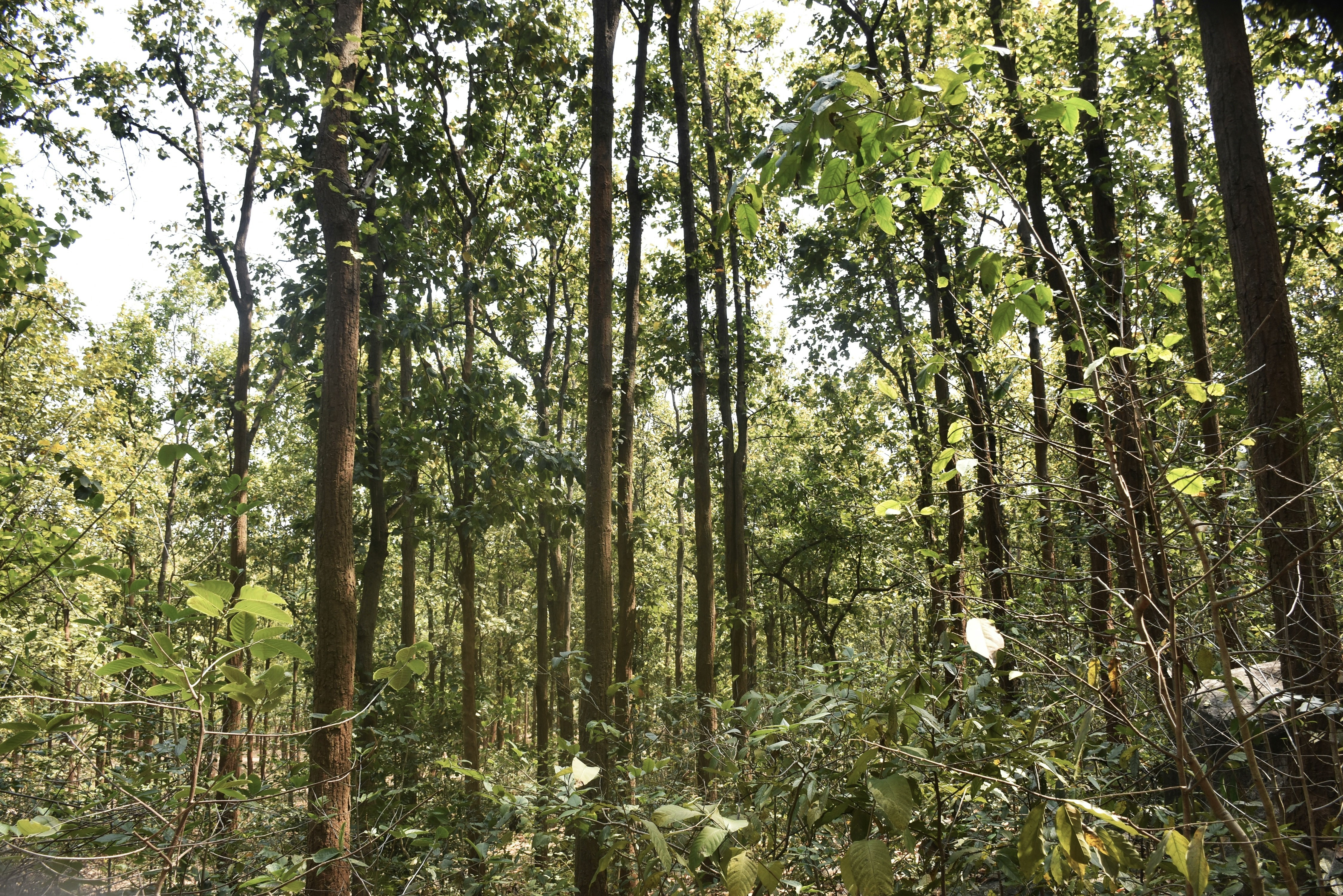 Photo by priyankabrokenheart90