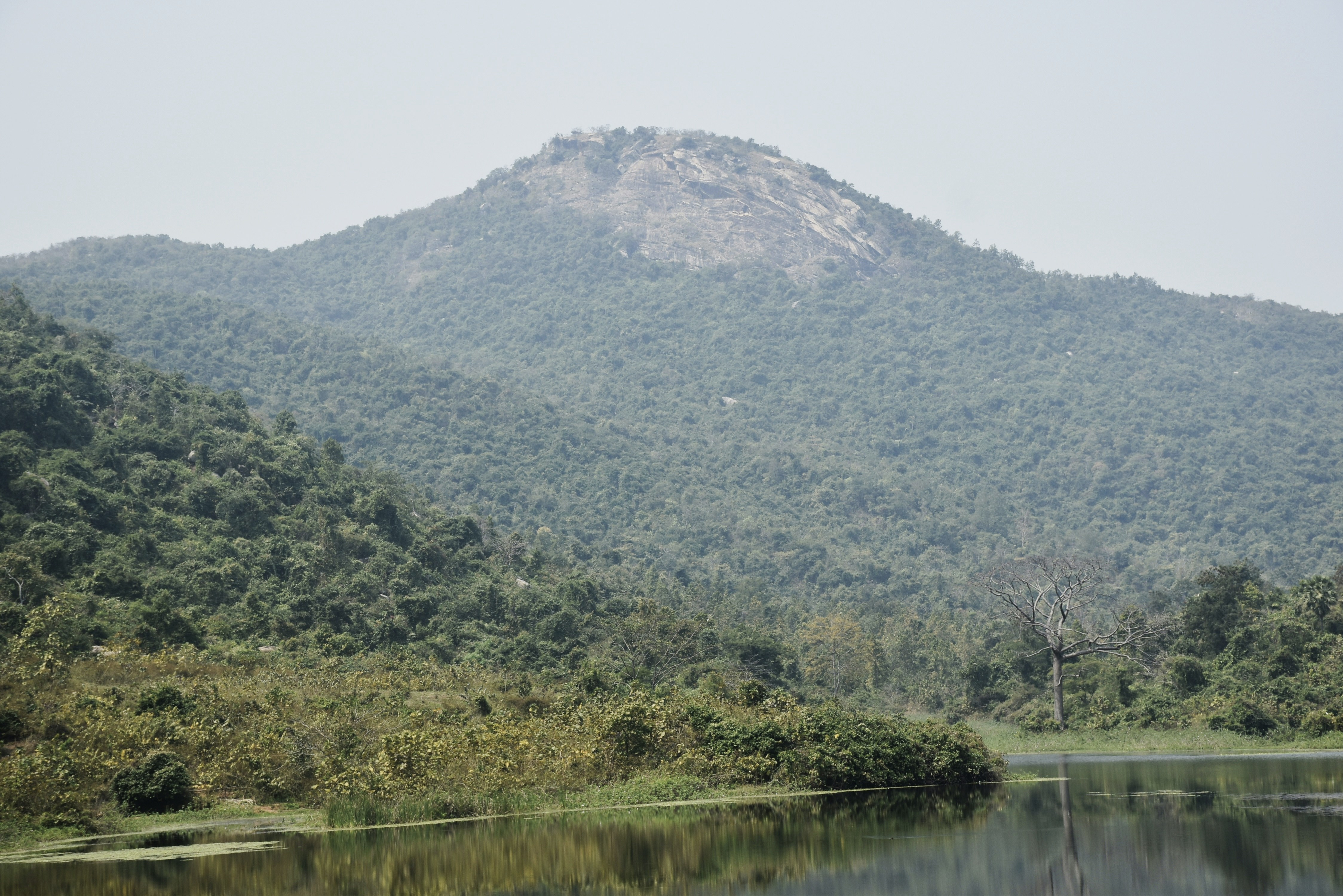 Photo by priyankabrokenheart90