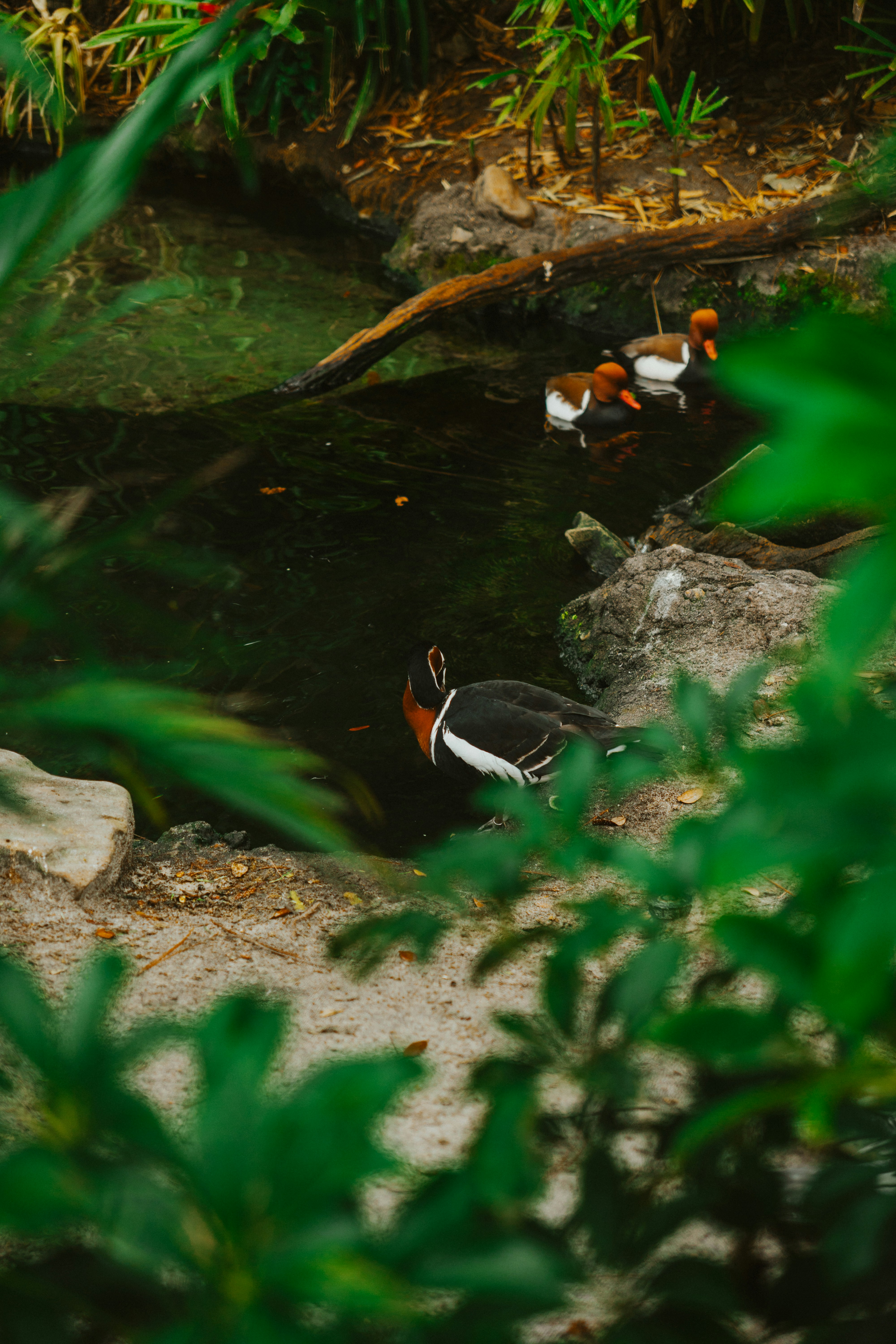 Photo by nickfuentes_