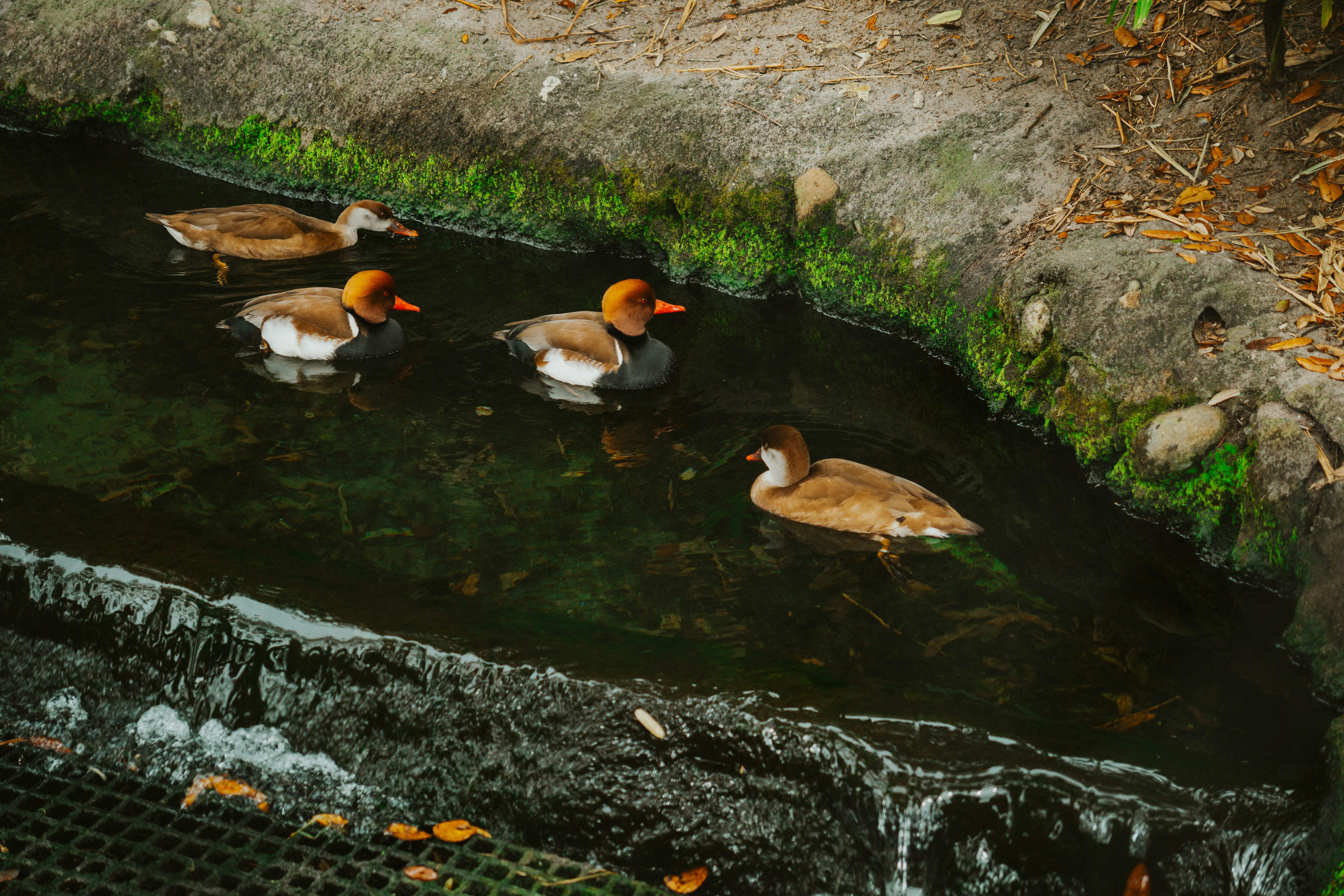 Photo by nickfuentes_