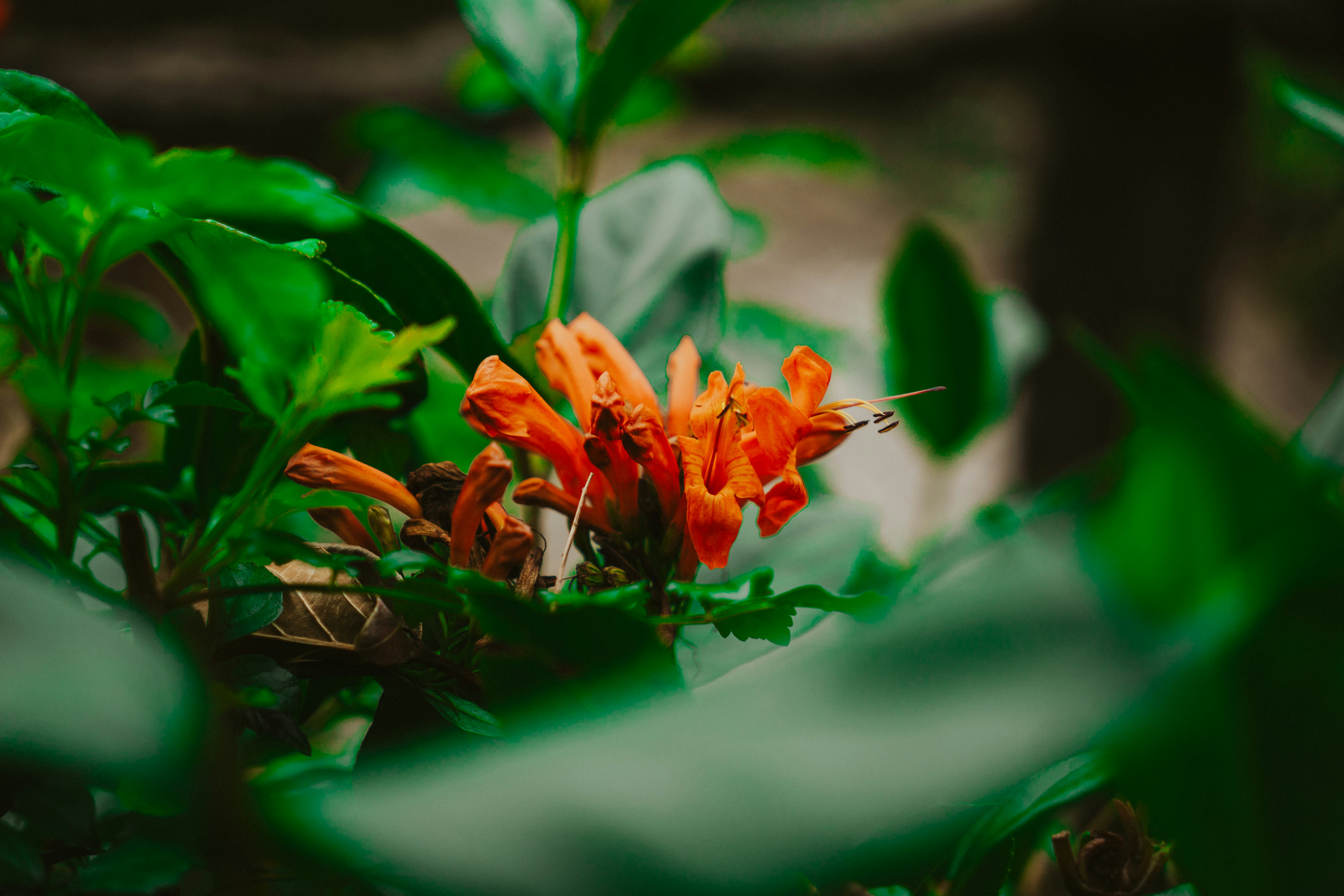 Photo by nickfuentes_