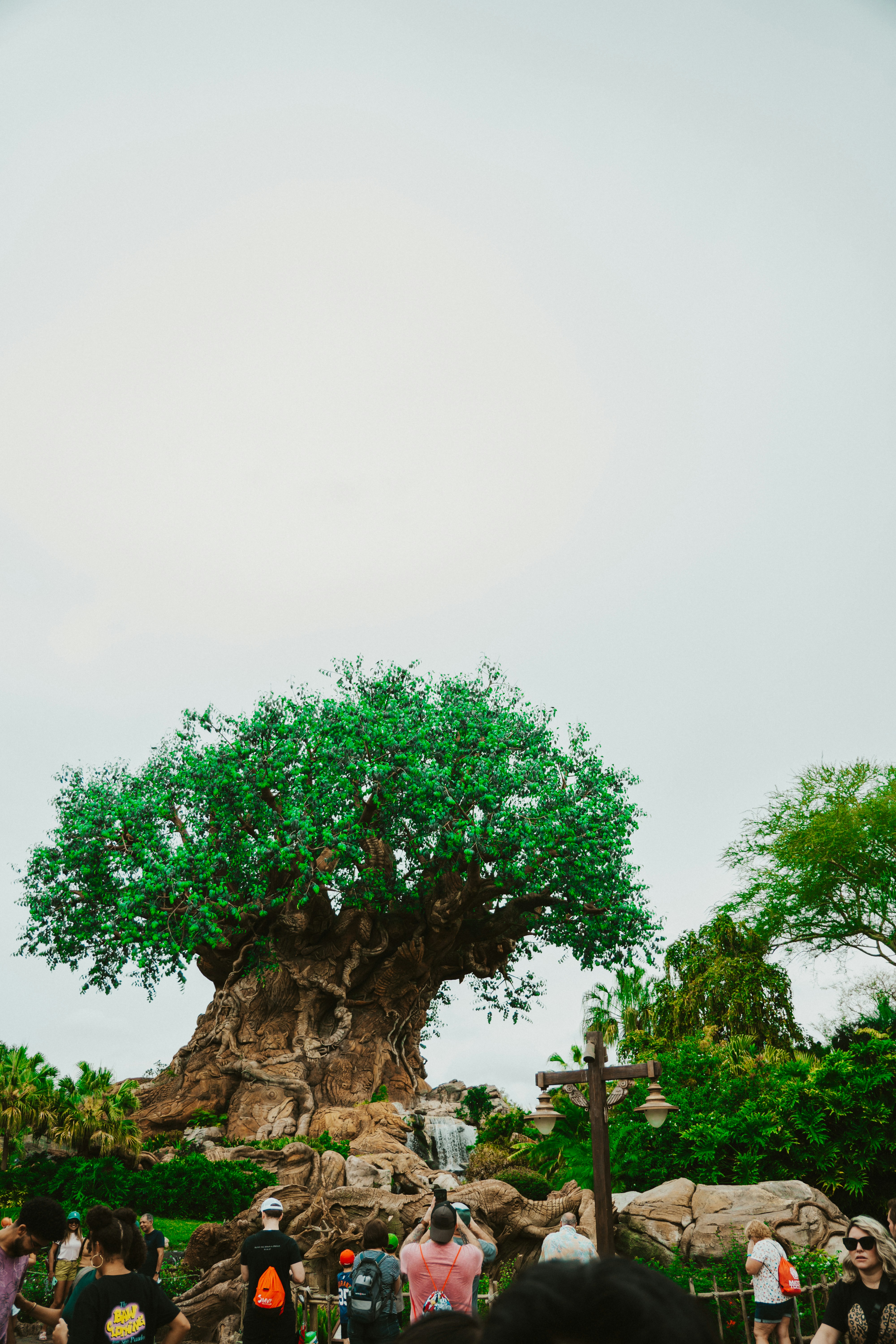 Photo by nickfuentes_