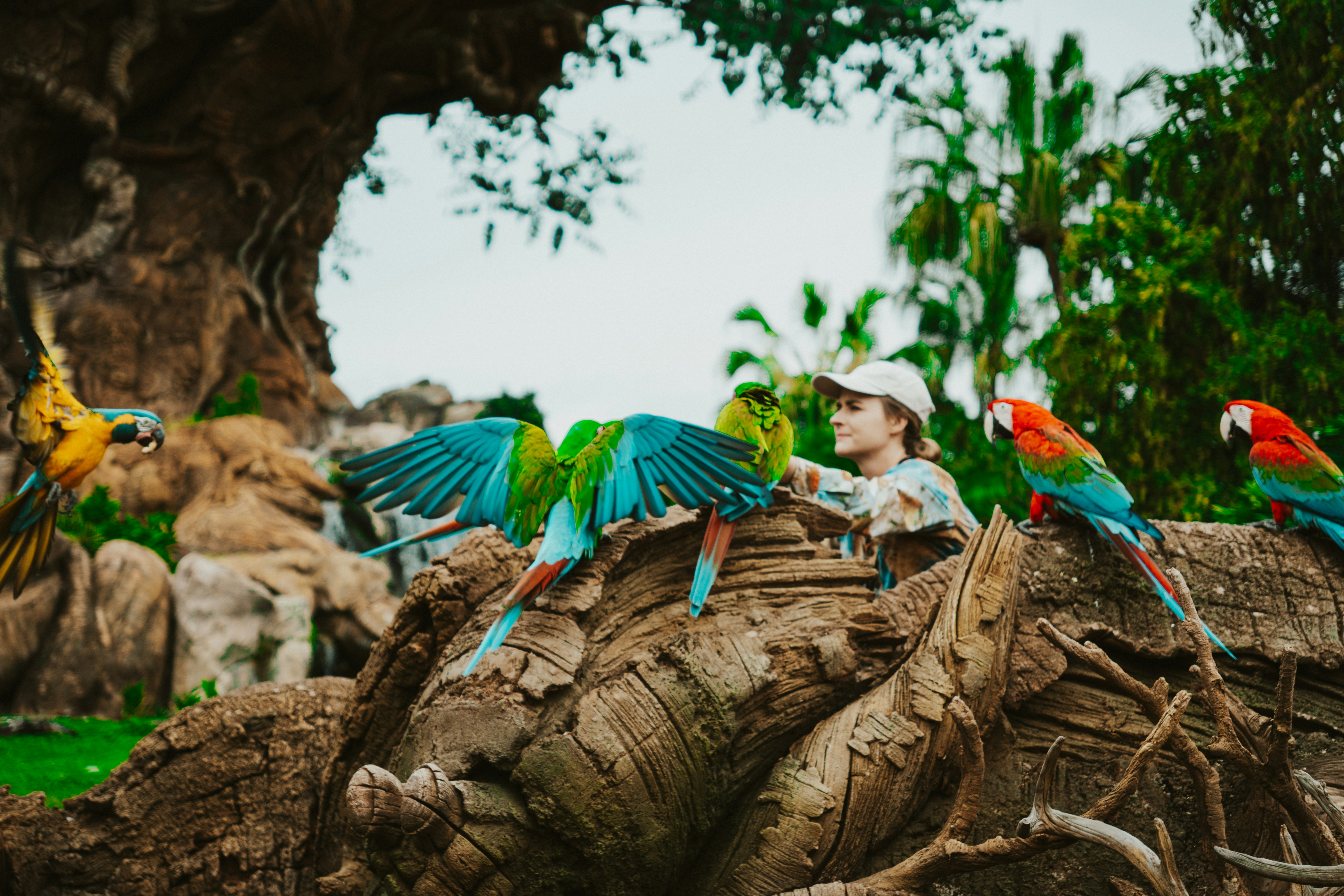 Photo by nickfuentes_