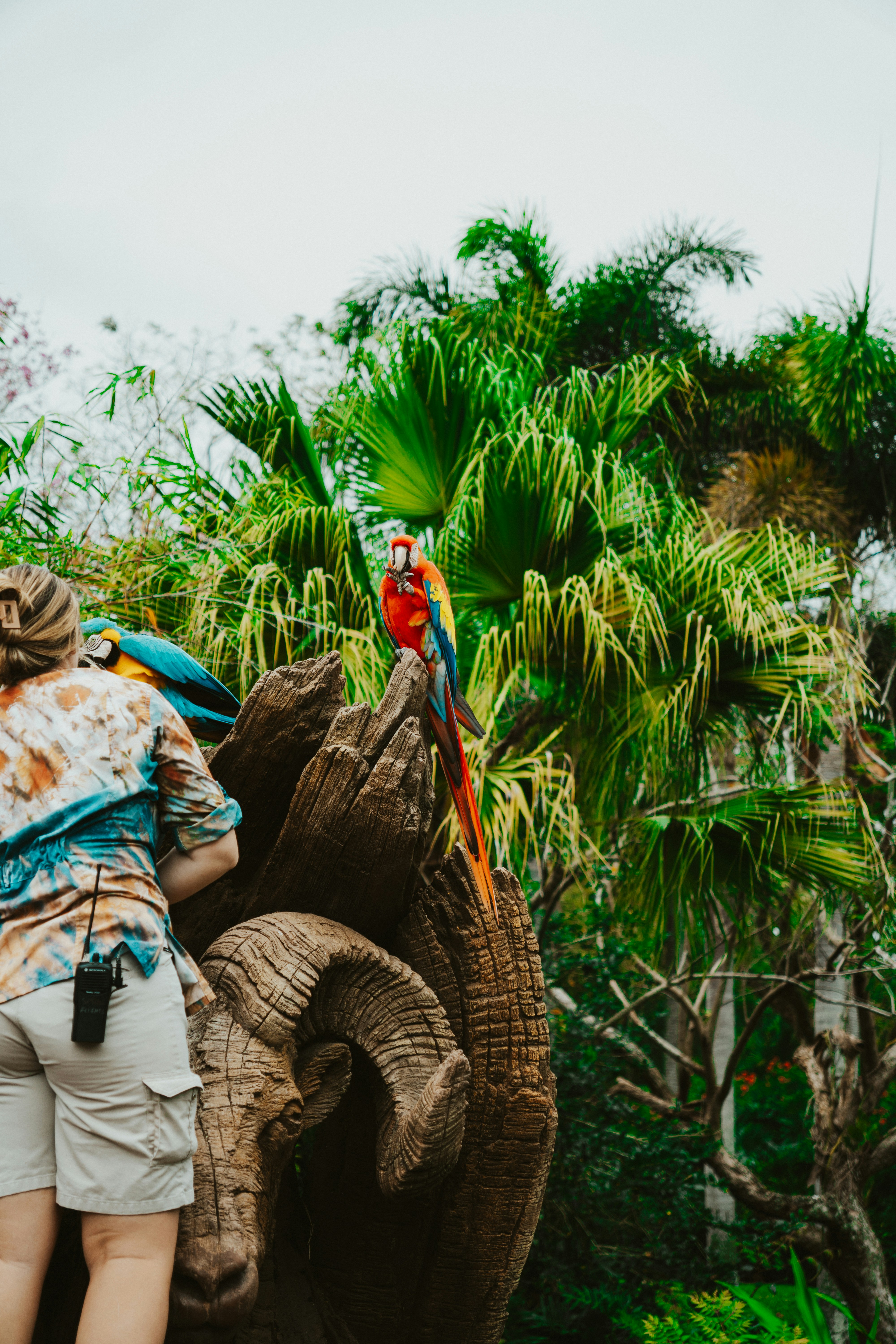 Photo by nickfuentes_