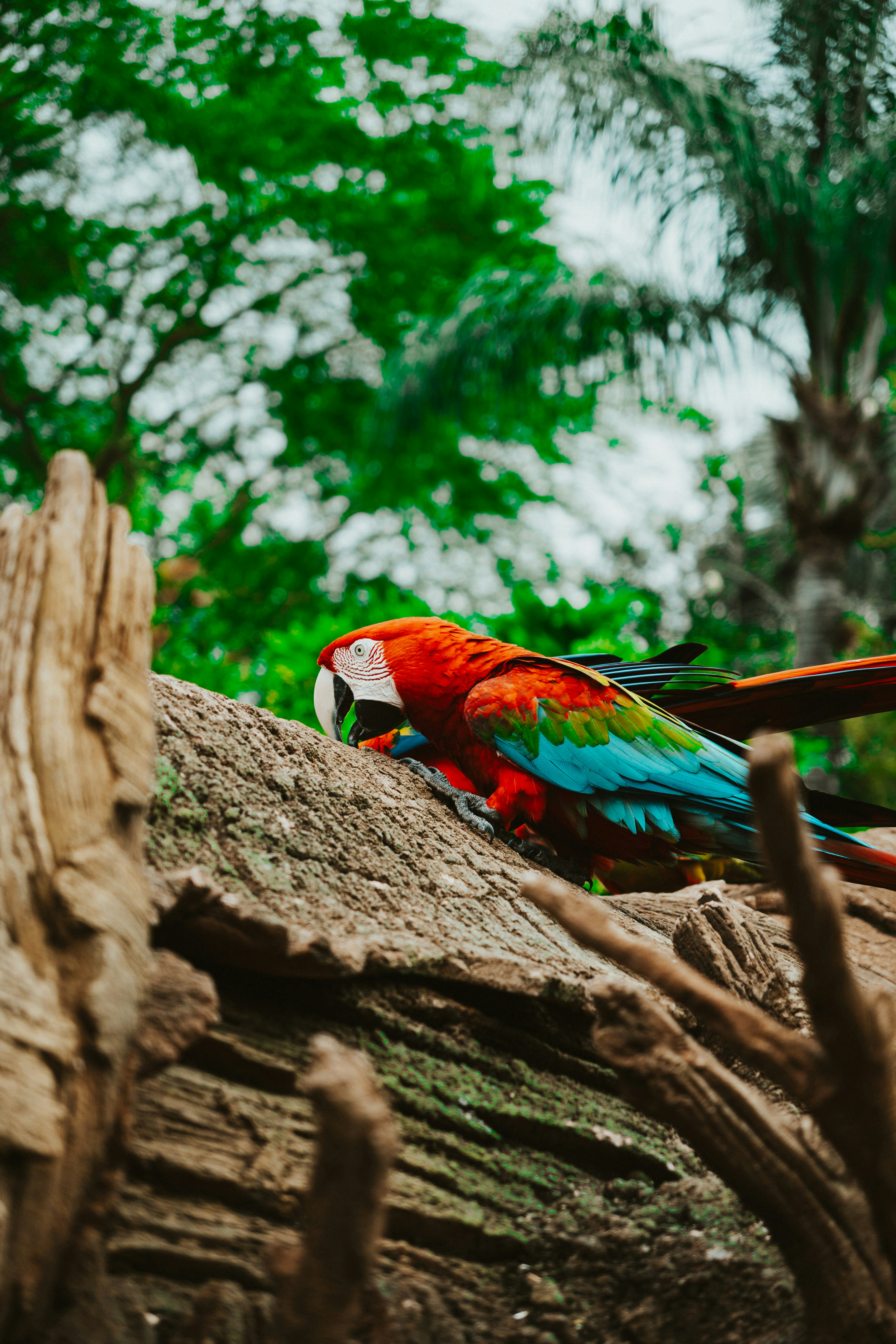 Photo by nickfuentes_