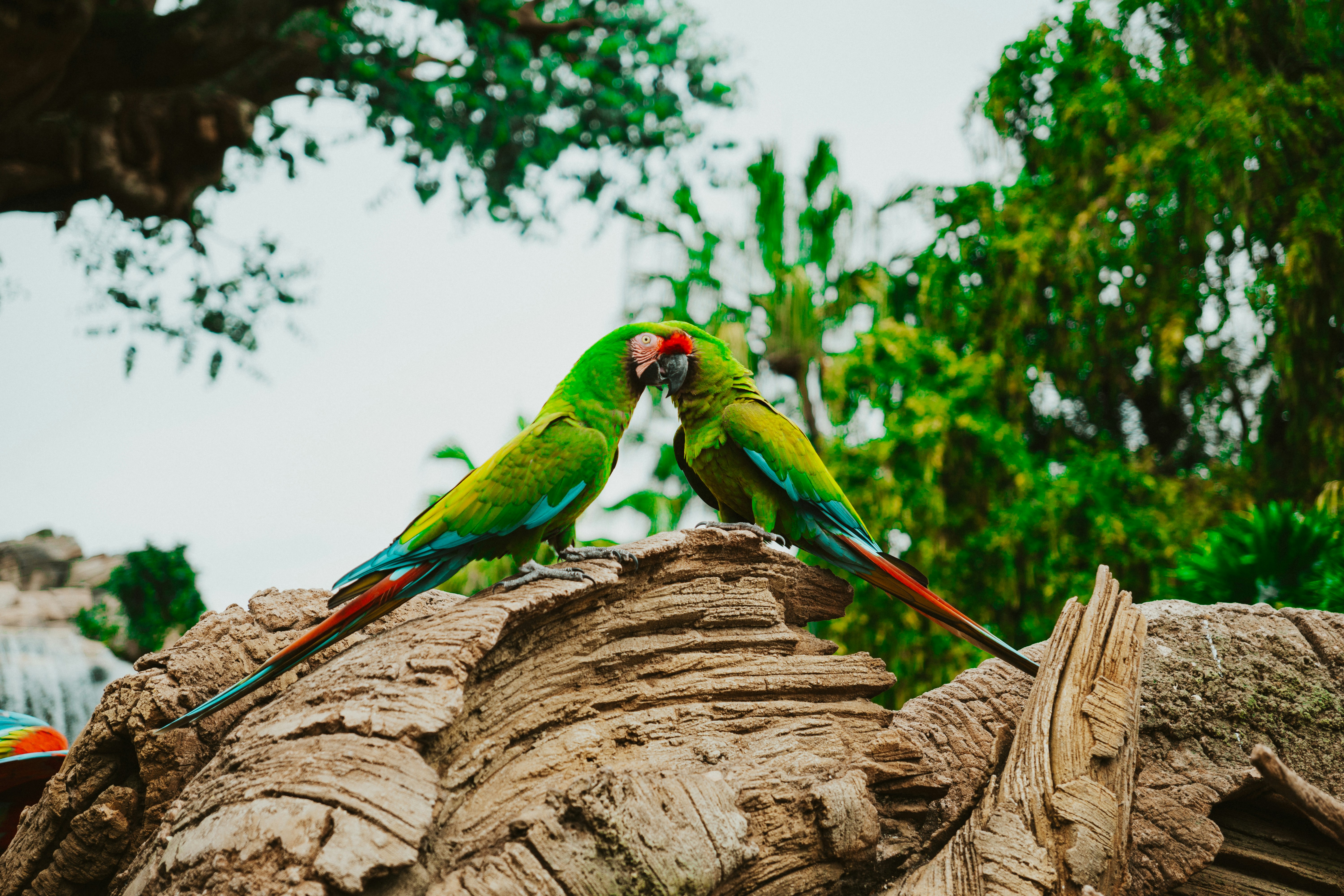 Photo by nickfuentes_