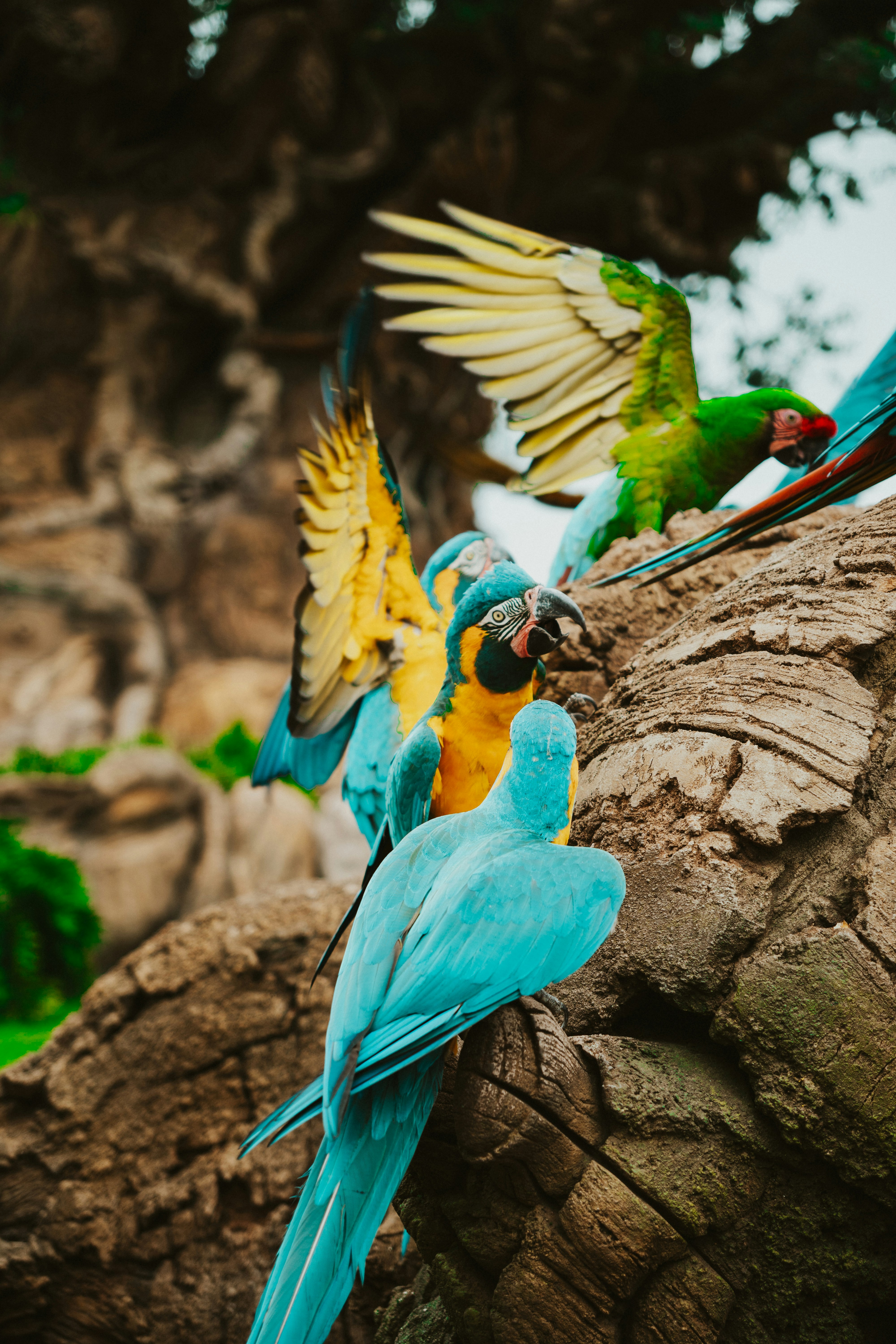 Photo by nickfuentes_