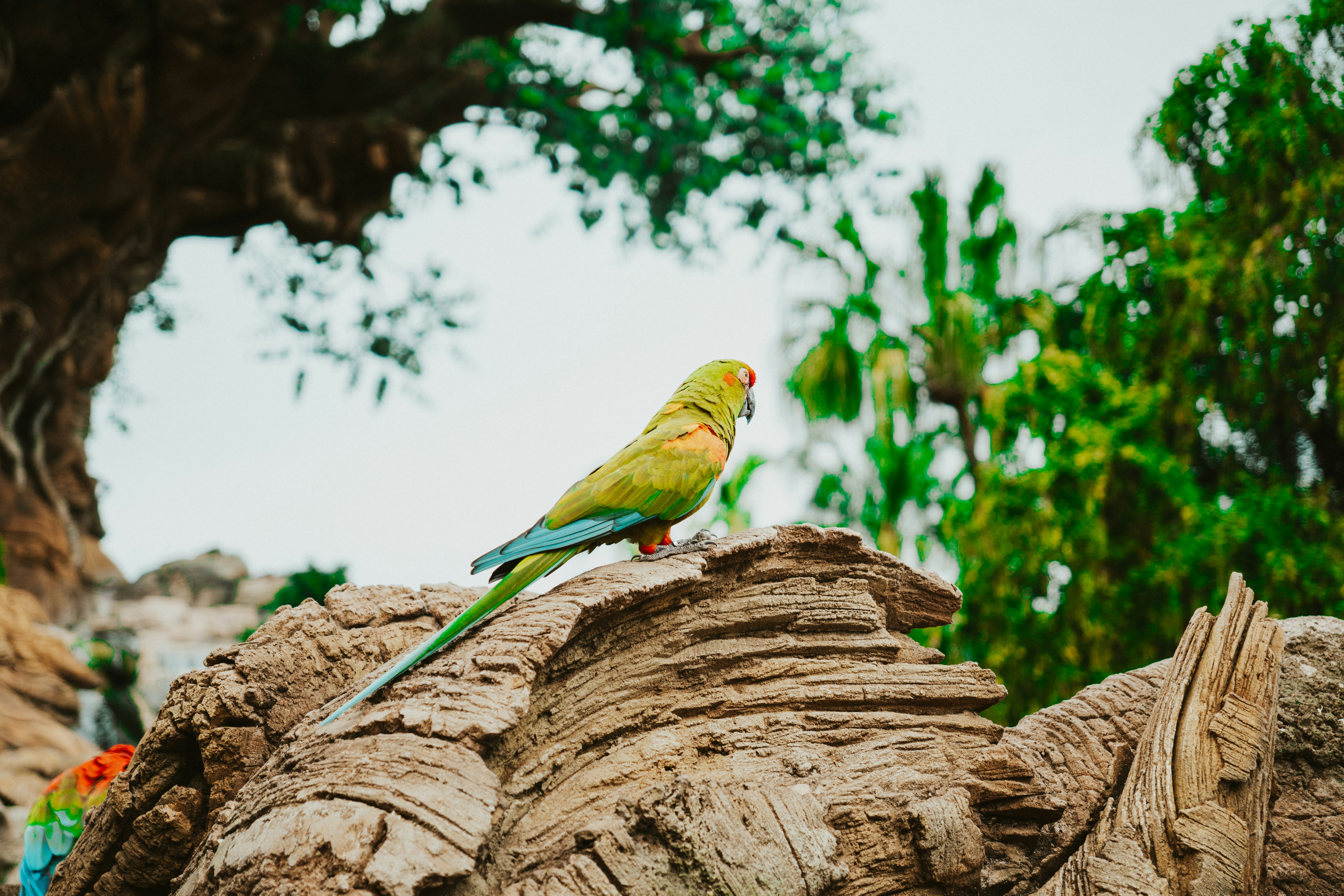 Photo by nickfuentes_