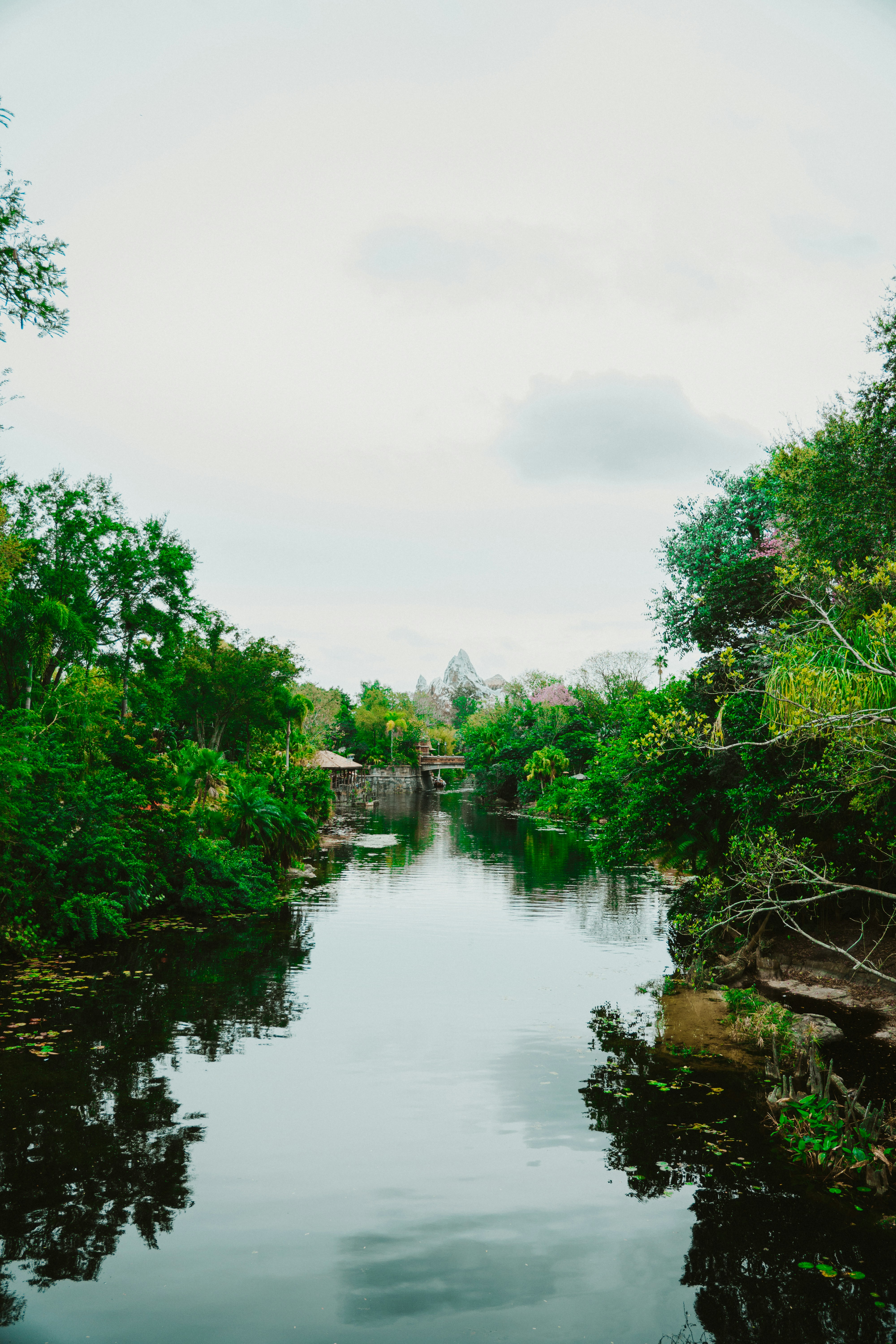 Photo by nickfuentes_