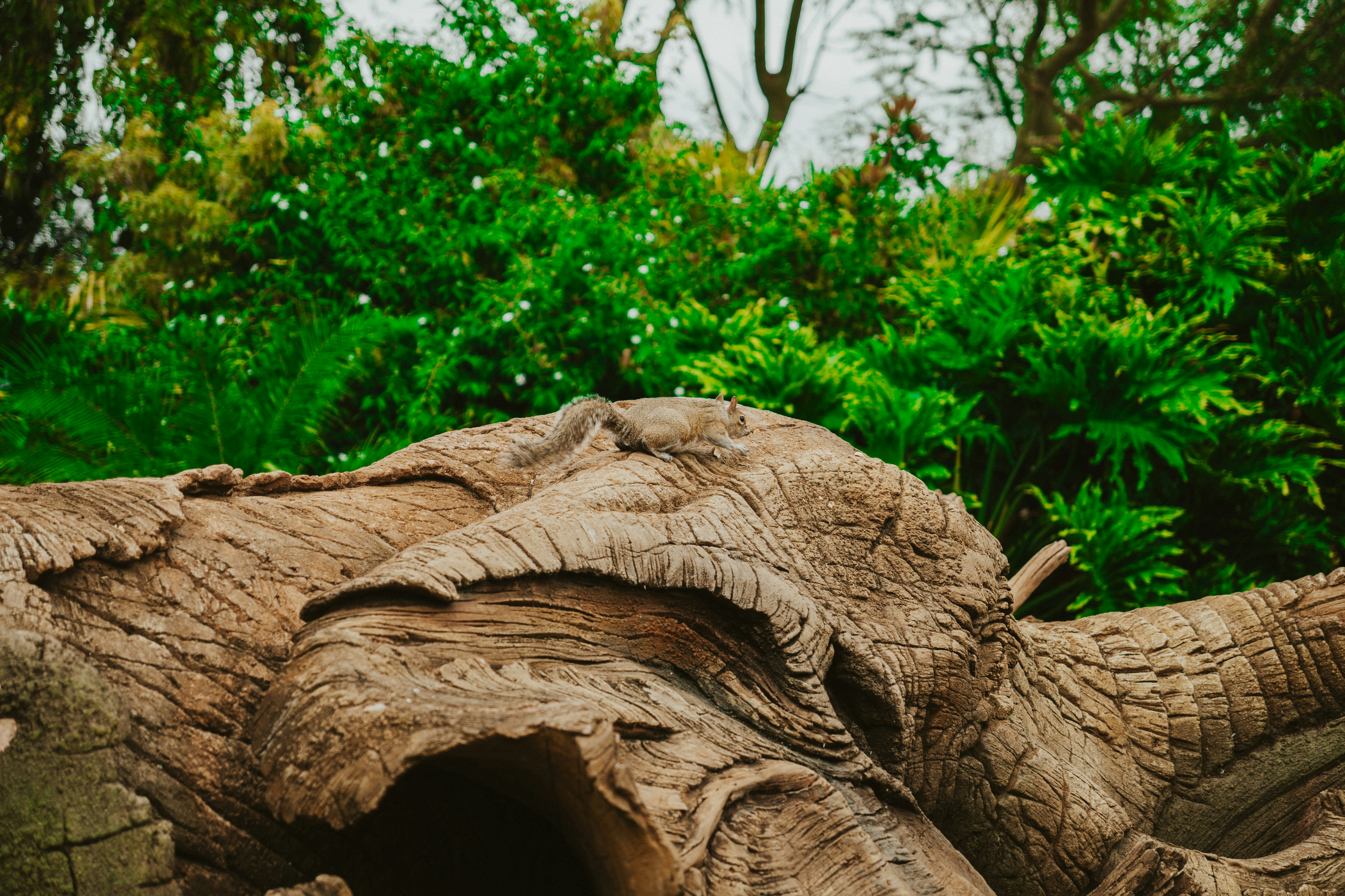 Photo by nickfuentes_