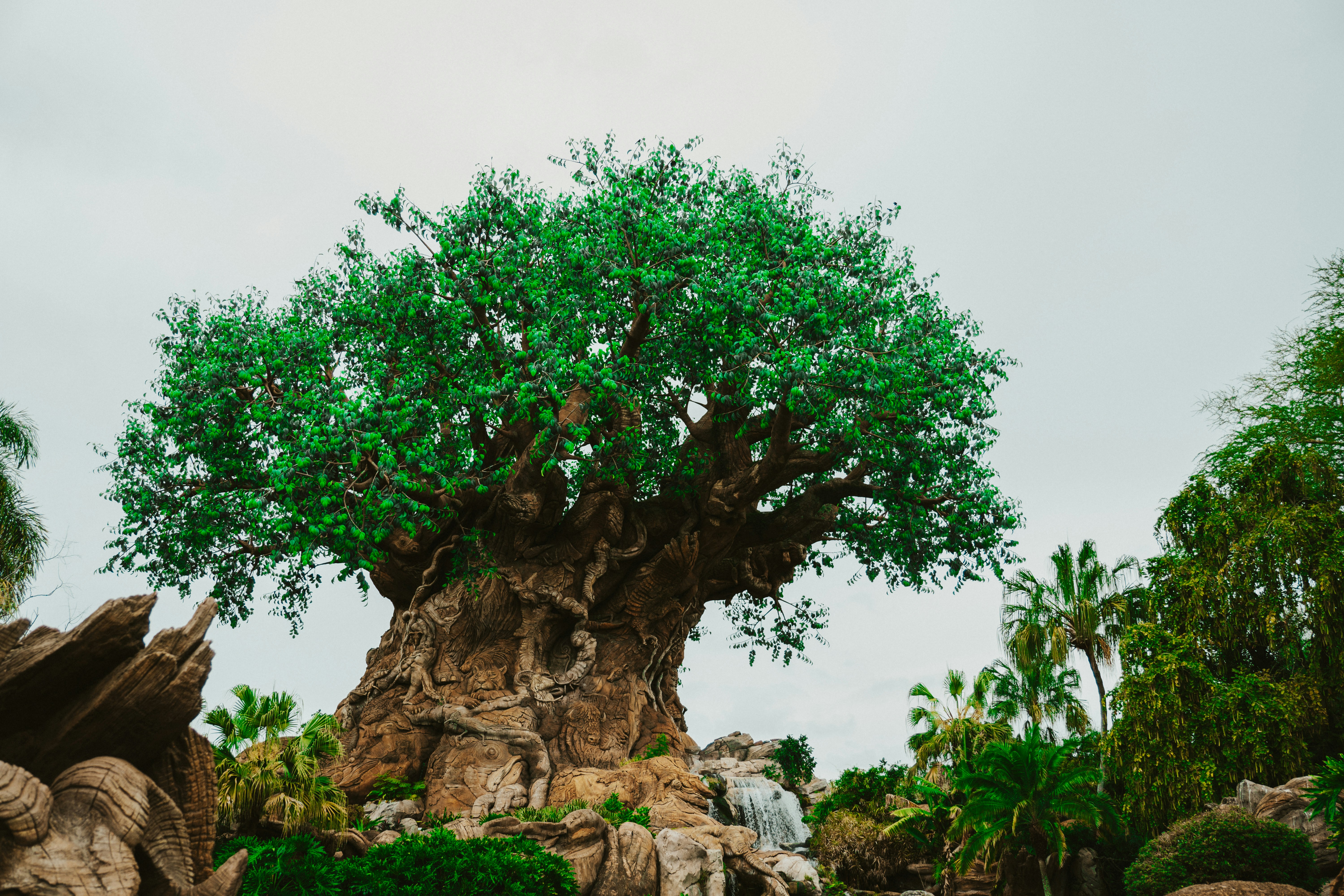 Jak zrozumieć swoje ograniczenia - Zrozumieć siebie
