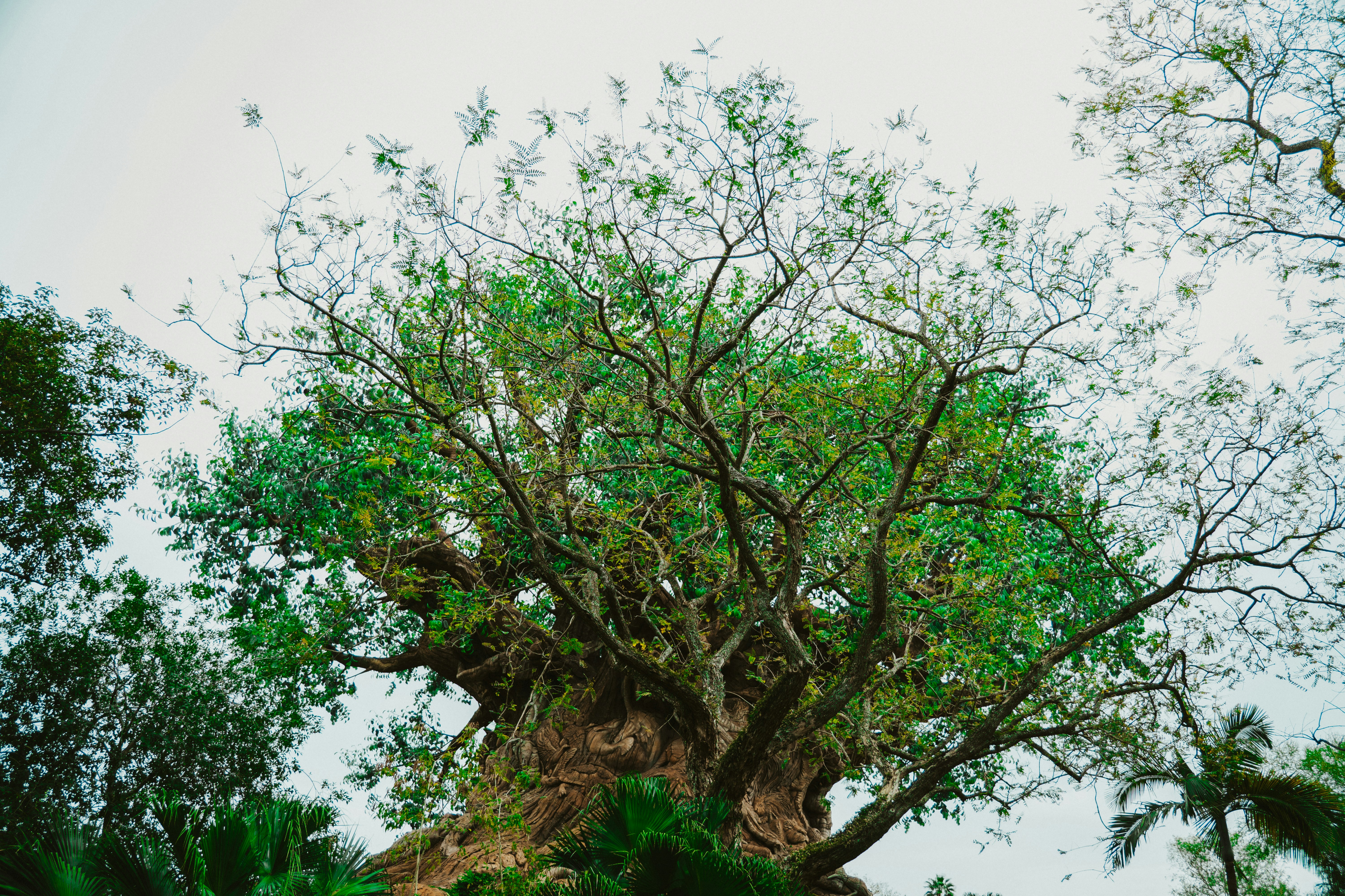 Photo by nickfuentes_