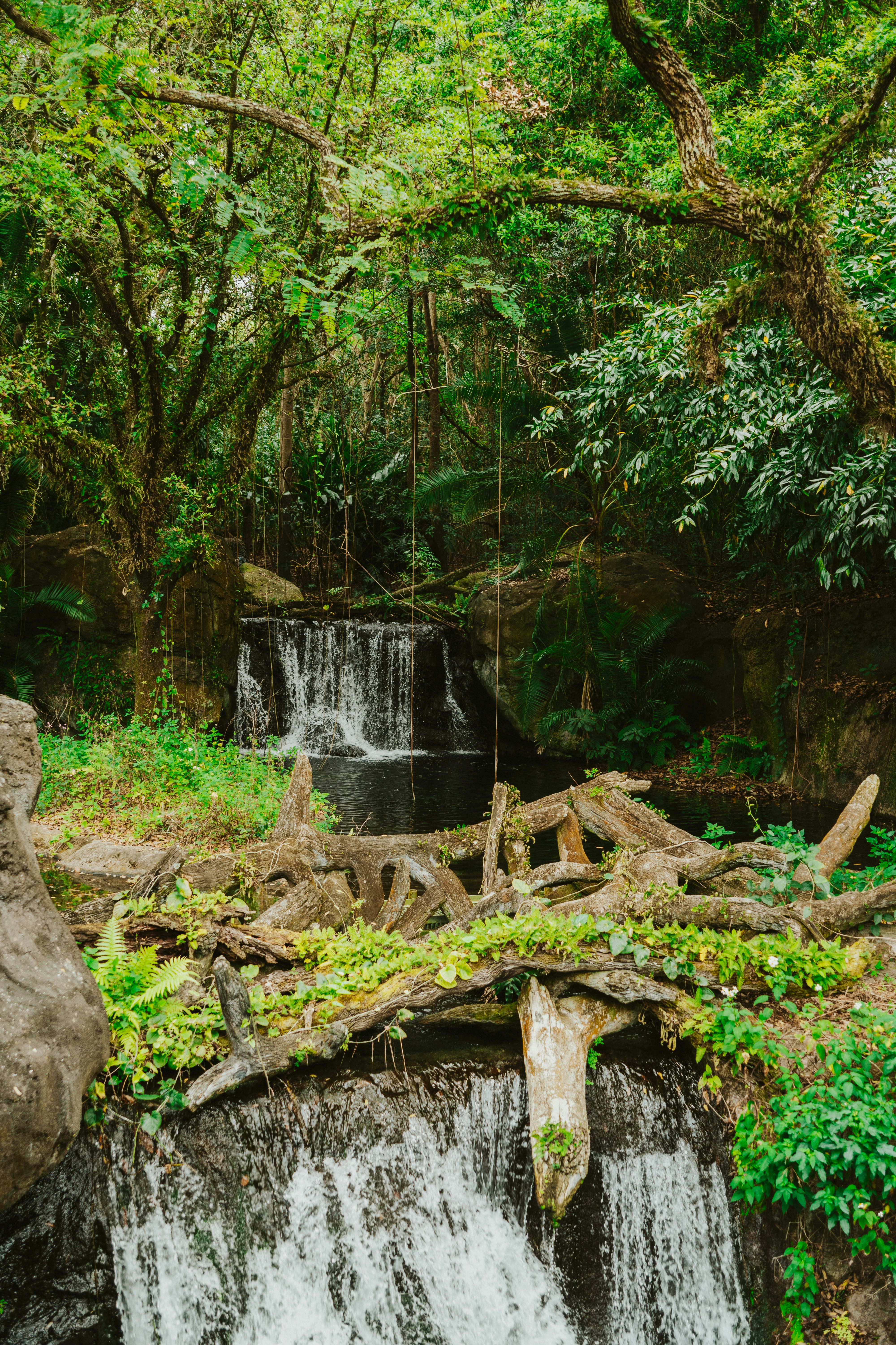 Photo by nickfuentes_