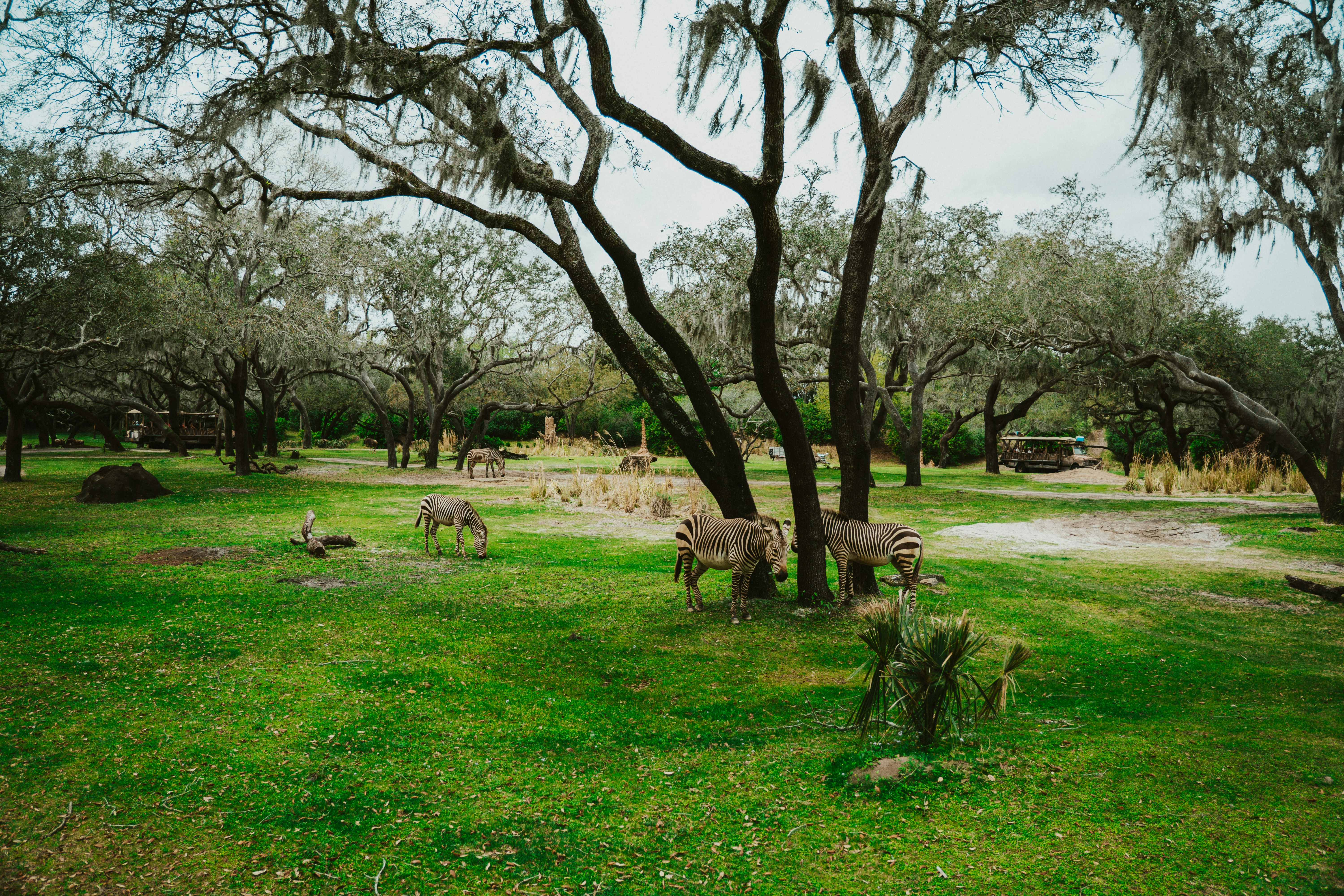 Photo by nickfuentes_